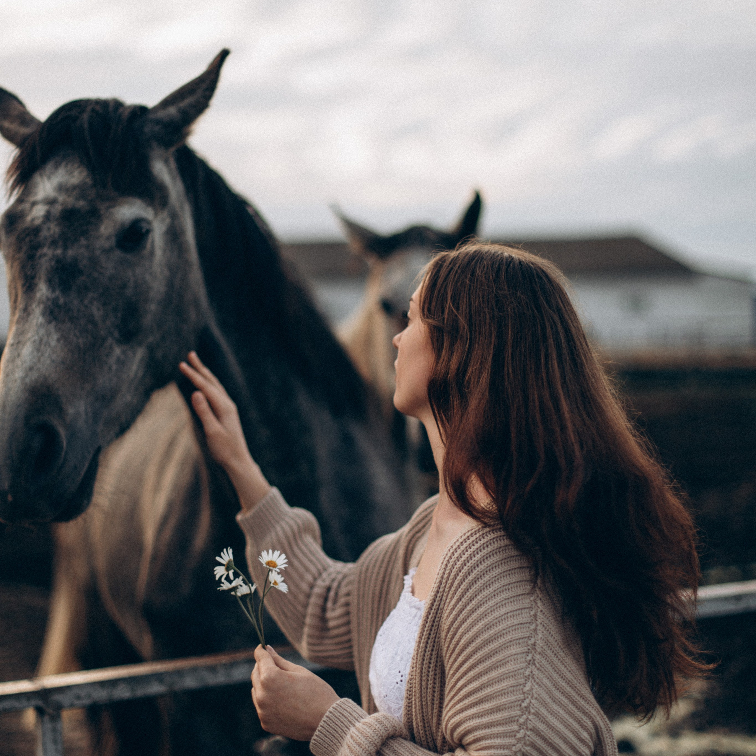 Что-то на закатном