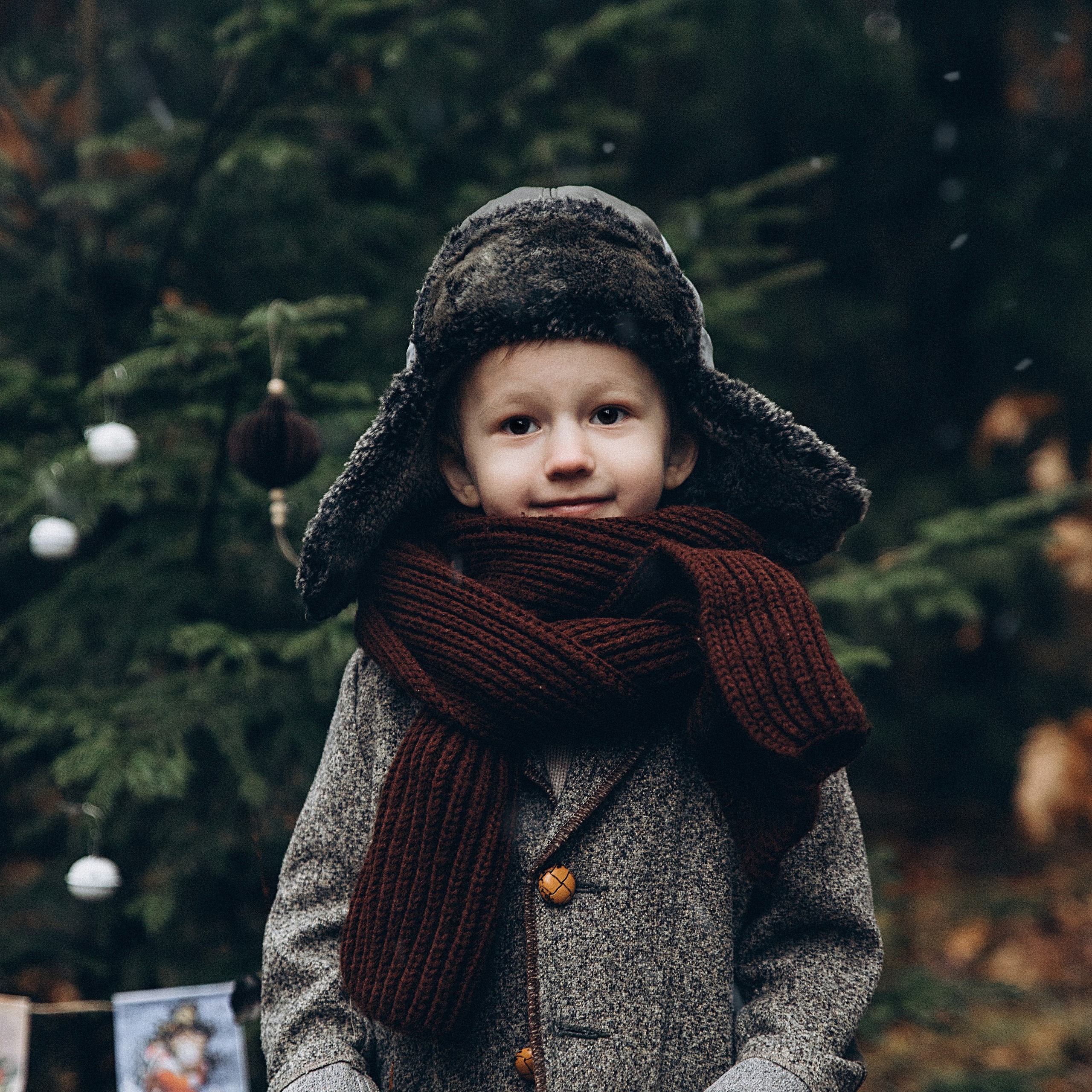 Елка в лесу