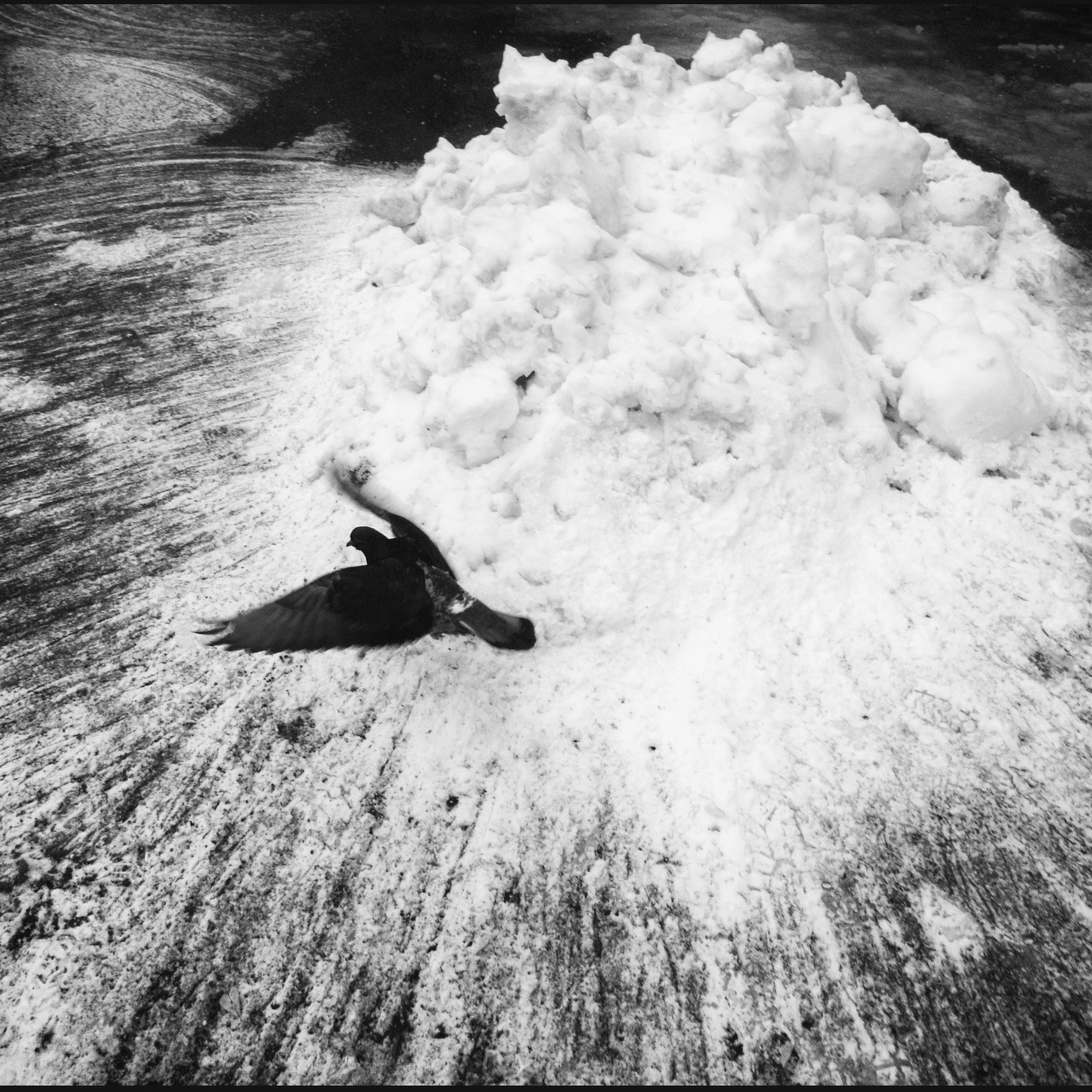 Игра Хаоса. Тематический фотожурнал об уличной фотографии