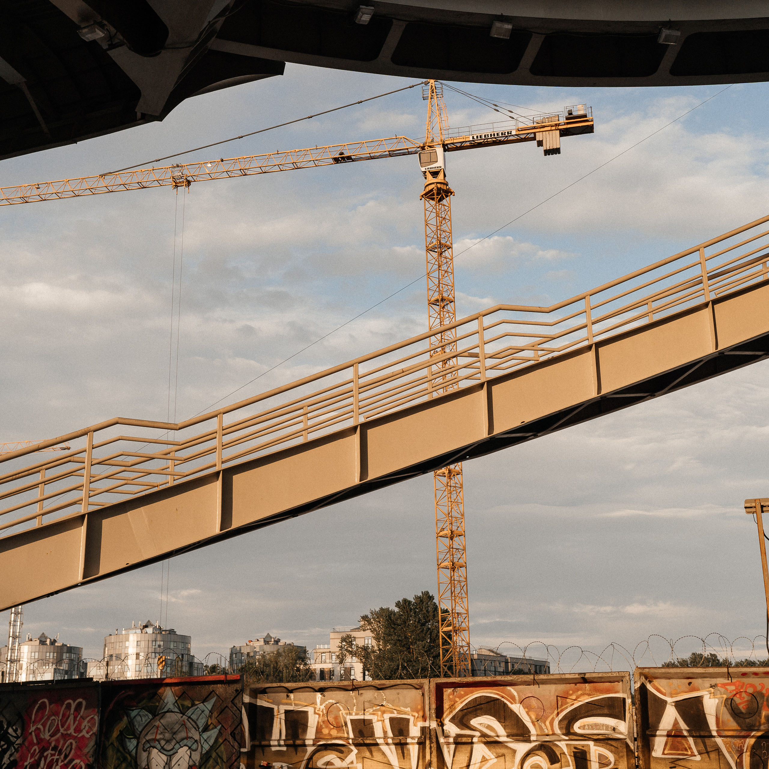 Отзывы. Семейный фотограф в Санкт-Петербурге Виталия Белова