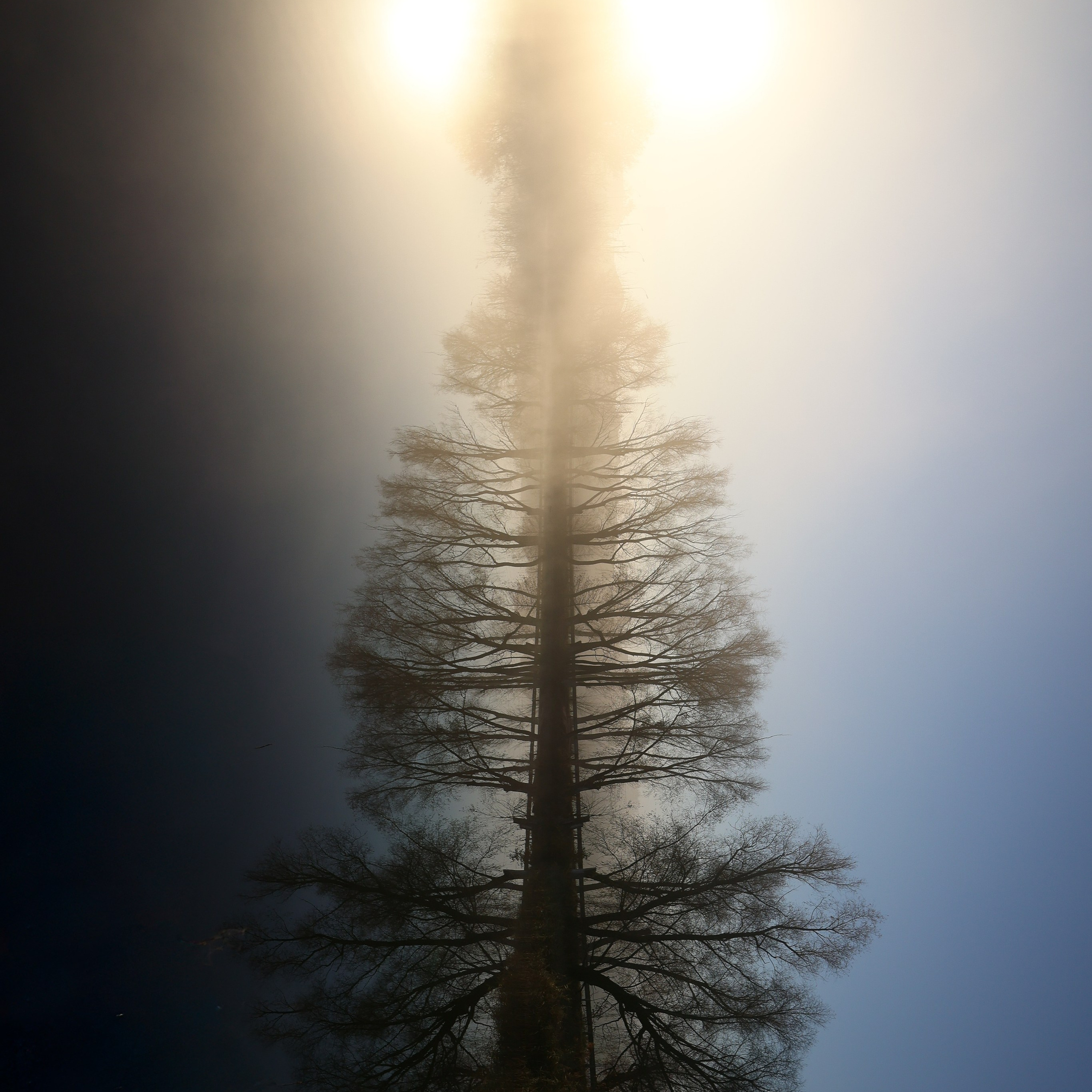 Fine Art 33×48см «Мост». Фотограф Евграфов Александр