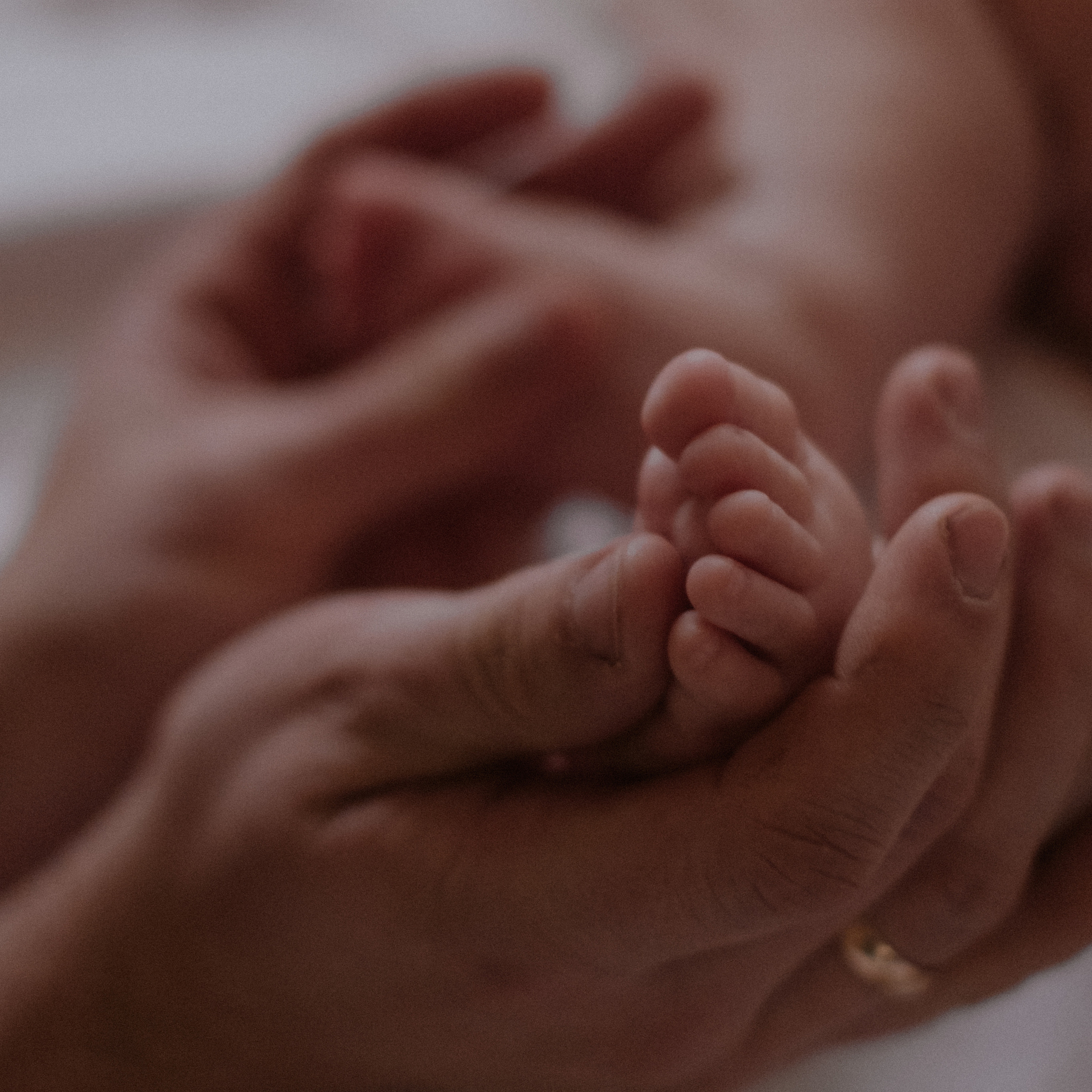 Домашняя фотосессия Валерия + Ева + Матвей