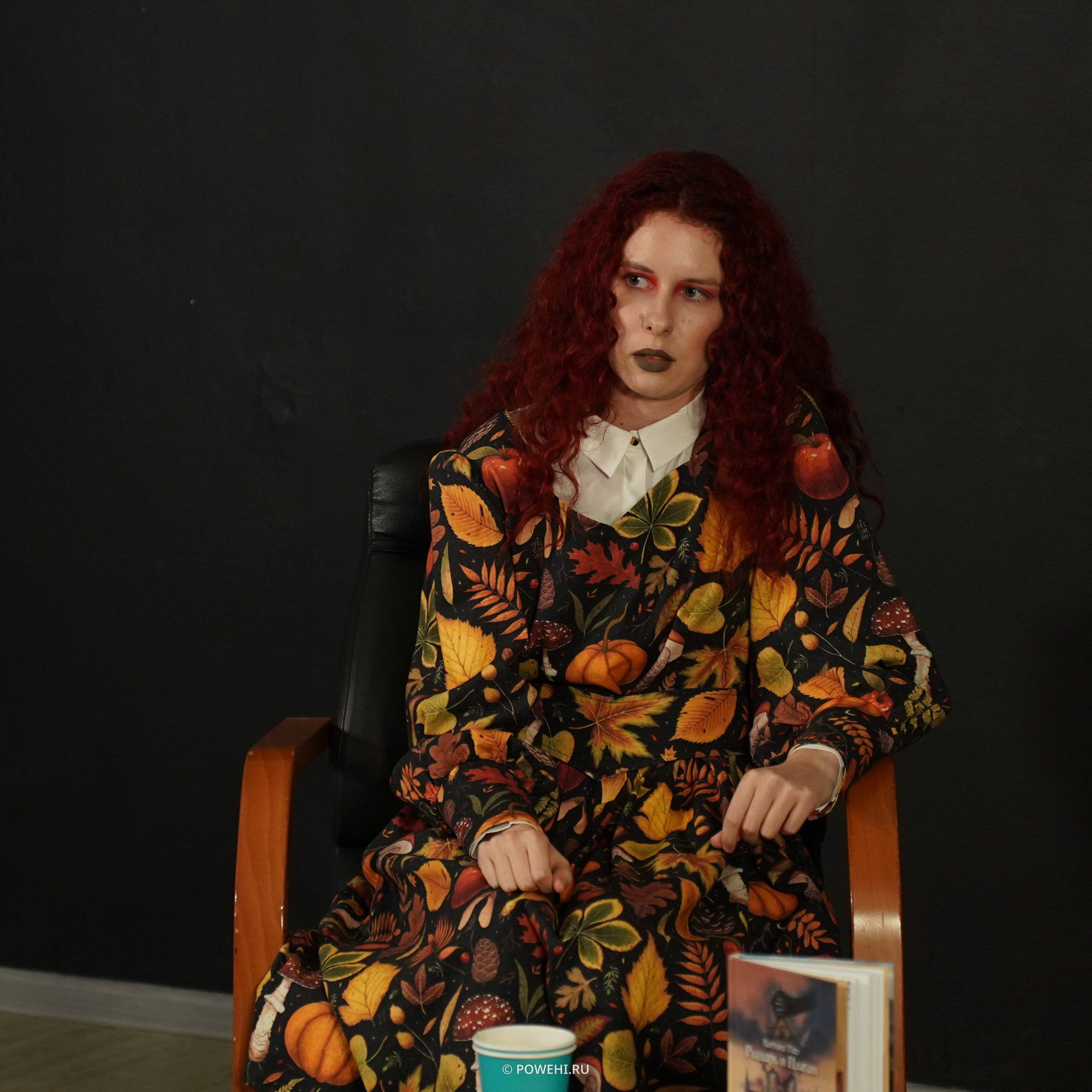 Презентация книги «Рыцарь и Цыган» Barbara Vido в библиотеке Гагарина