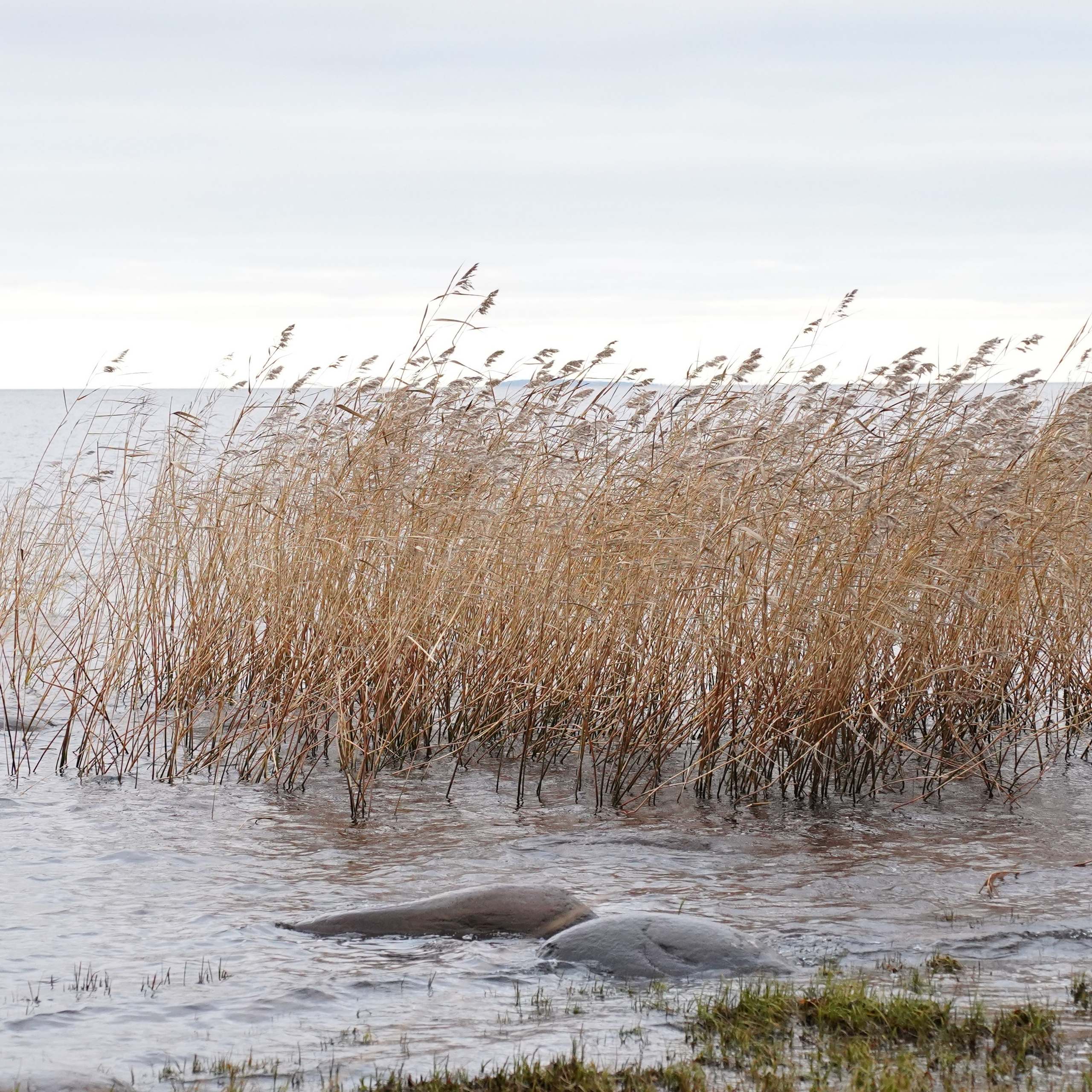 Ладожское озеро