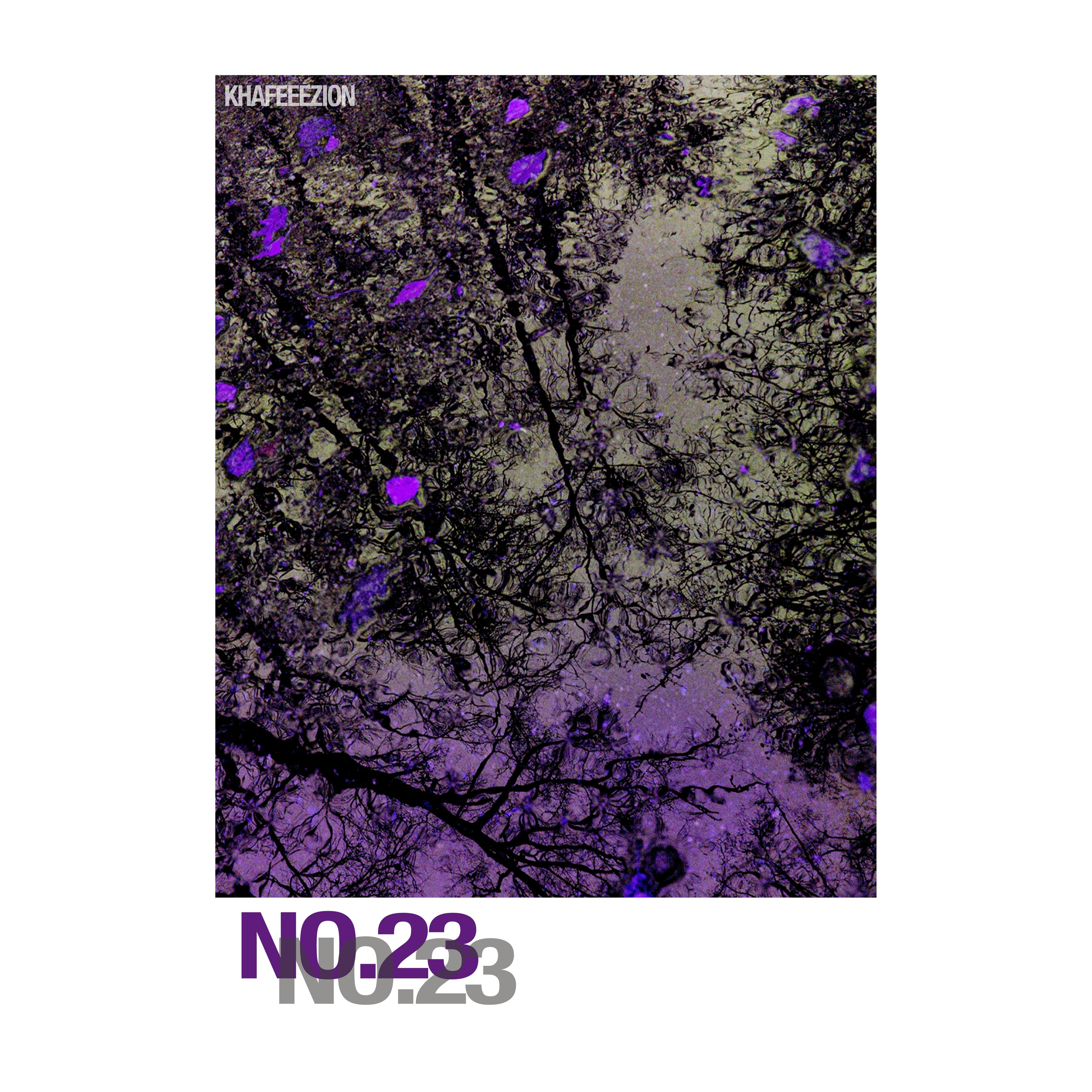 NO.23