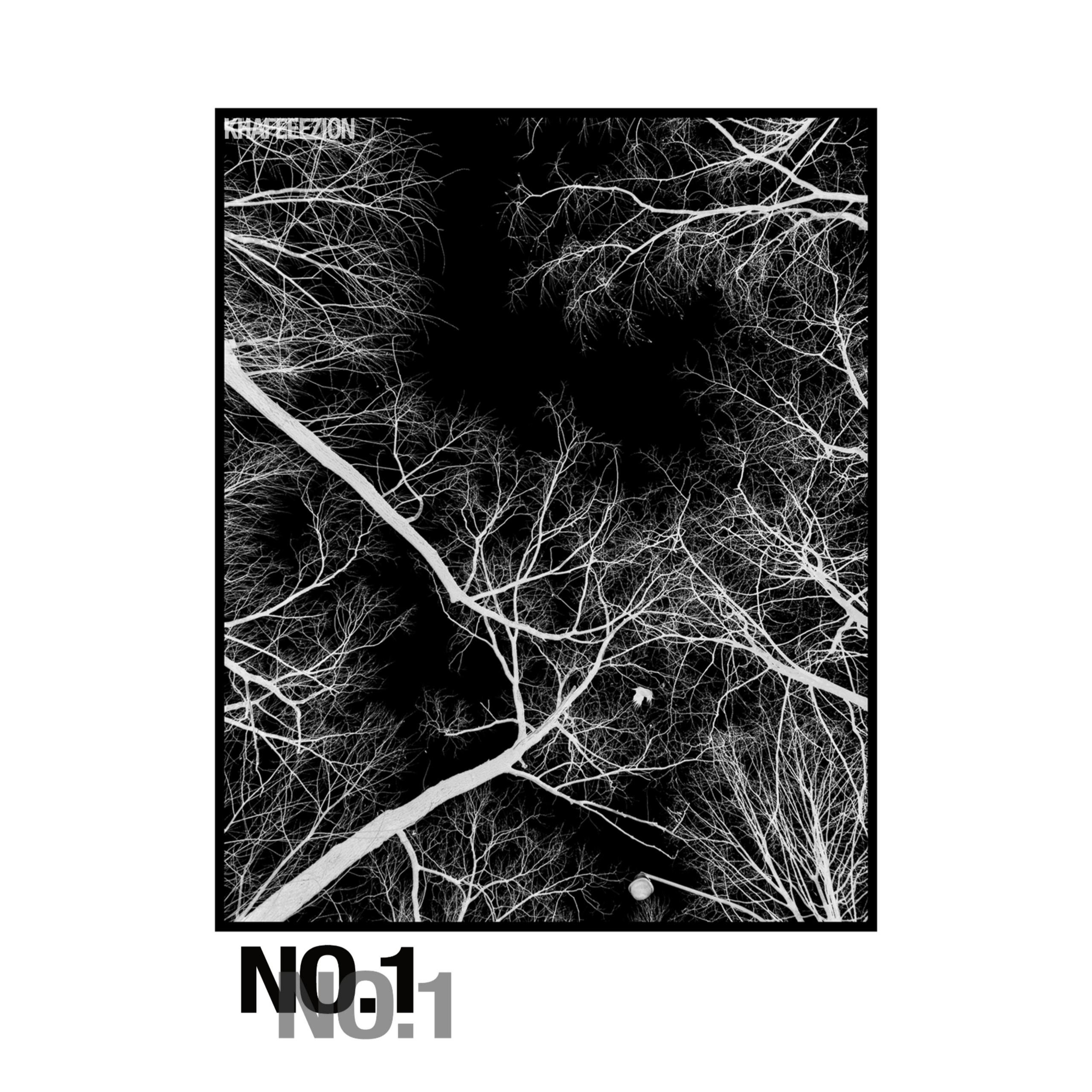 NO.1 (1)