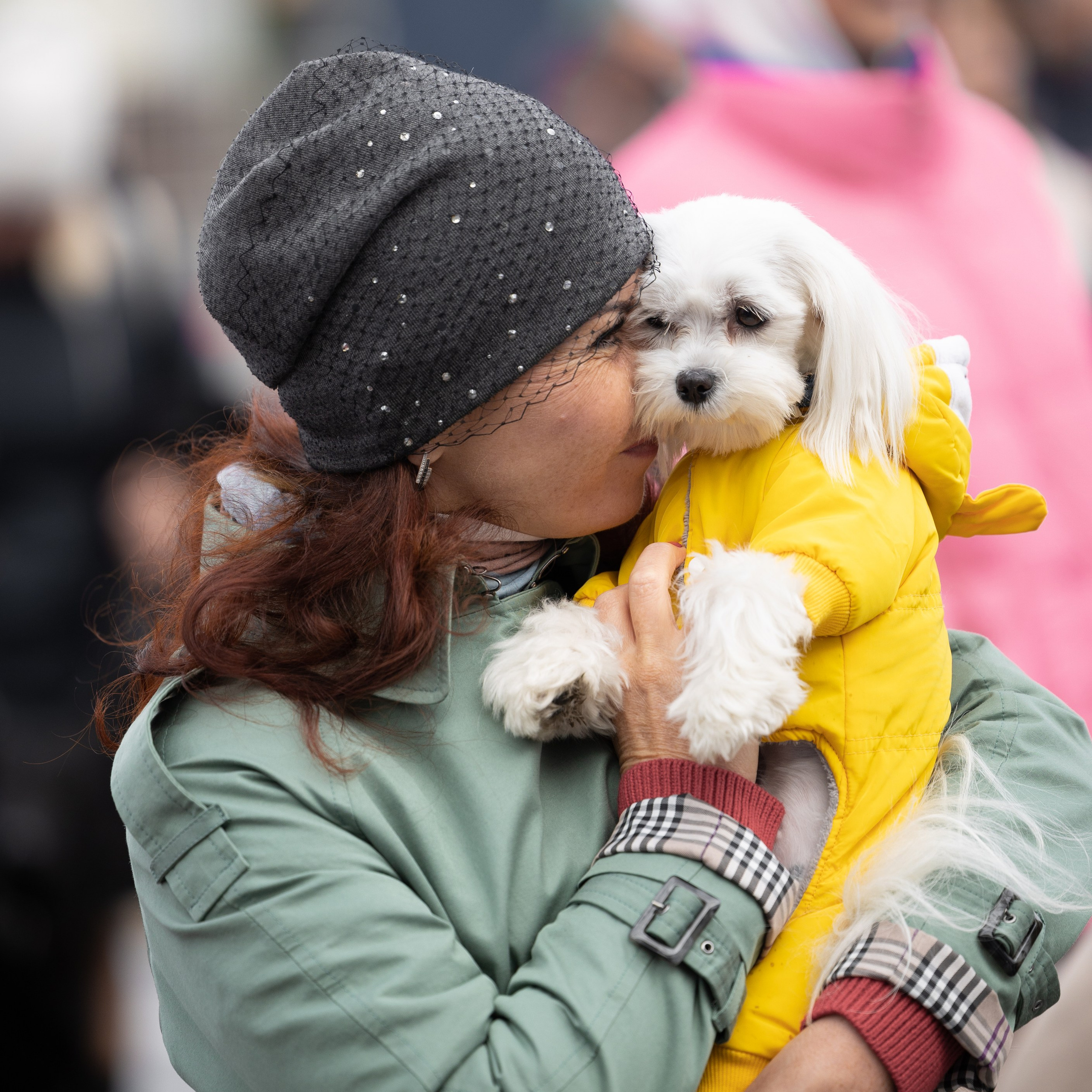 Кросс «Быстрый пёс», Балтийская Жемчужина