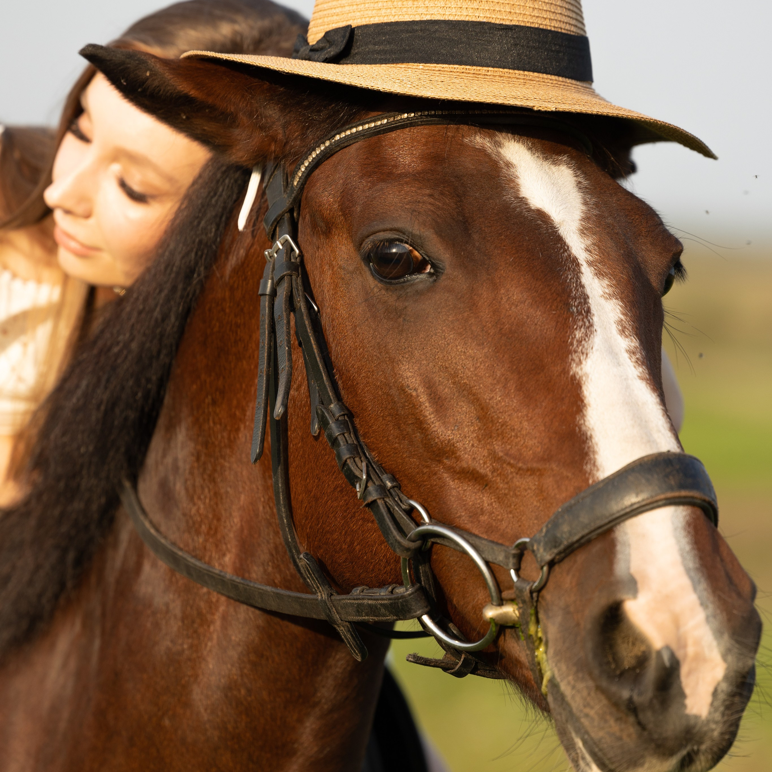 Лошадка на ранчо, модель Екатерина