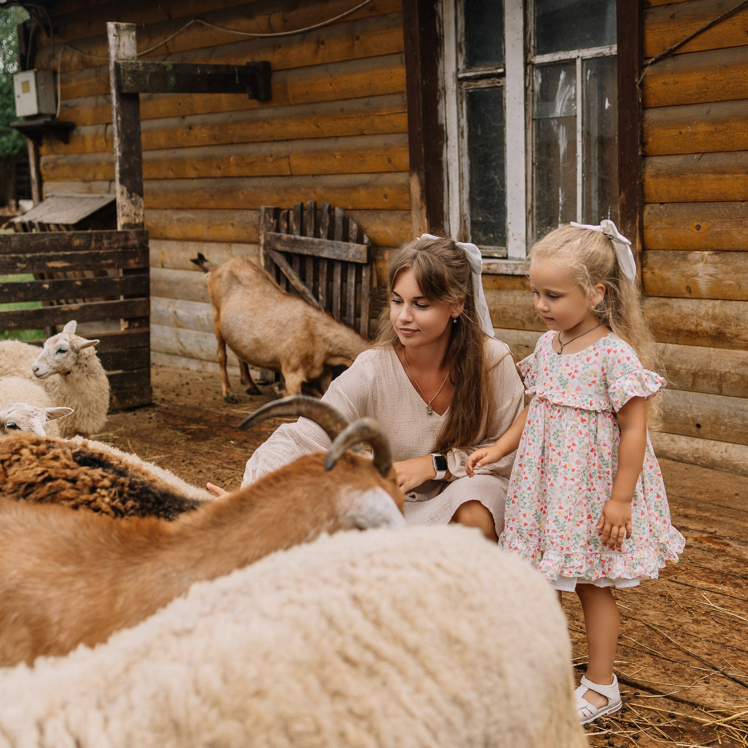 Отзывы. Женский и семейный фотограф Вологда Бучухишвили Диана, обучение