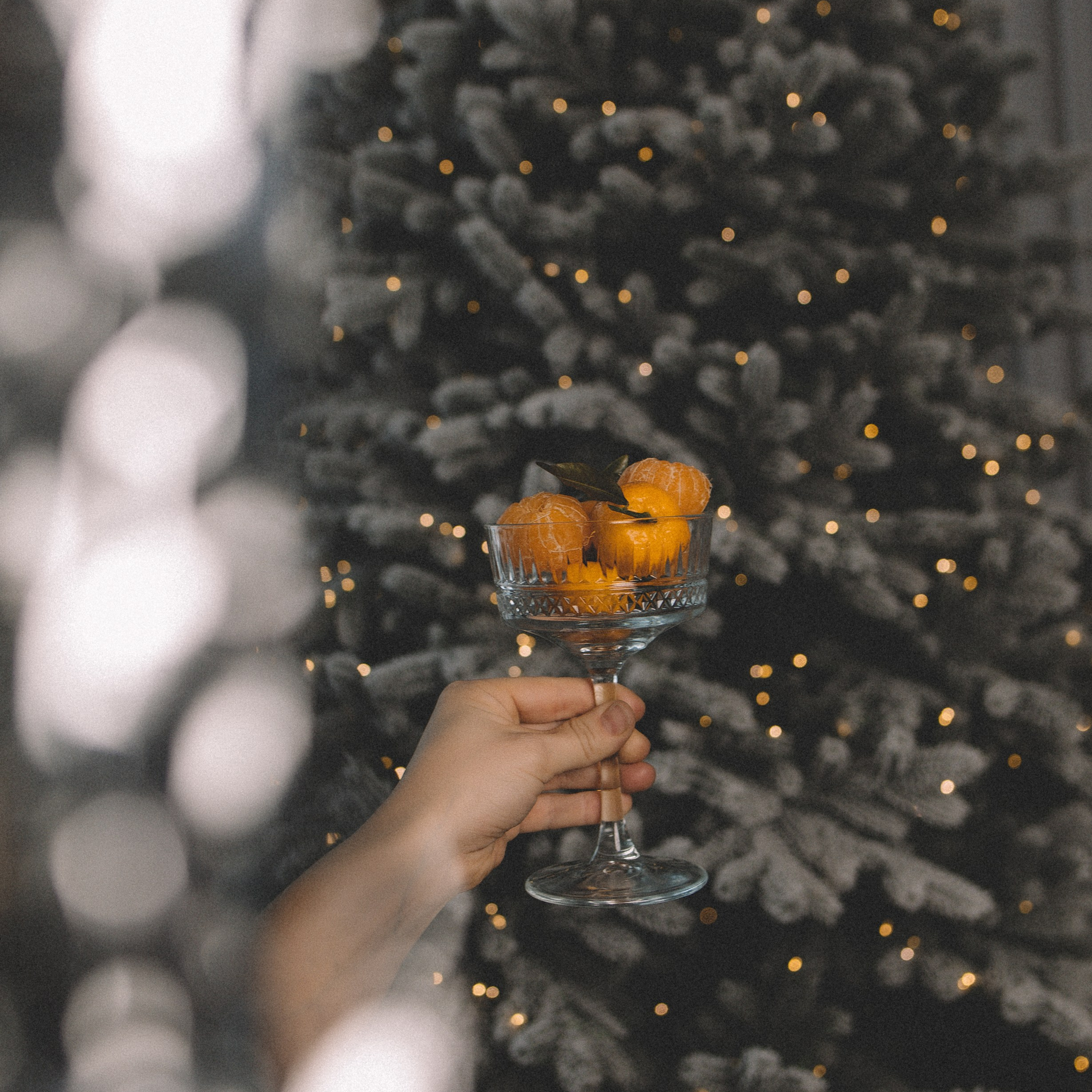 Отзывы. Женский и семейный фотограф Вологда Бучухишвили Диана, обучение