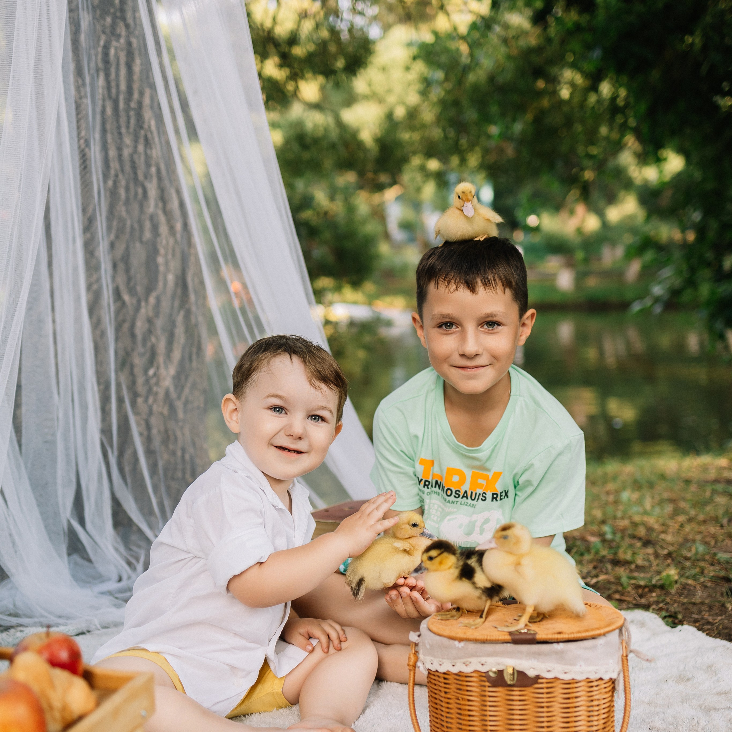 Отзывы. Женский и семейный фотограф Вологда Бучухишвили Диана, обучение