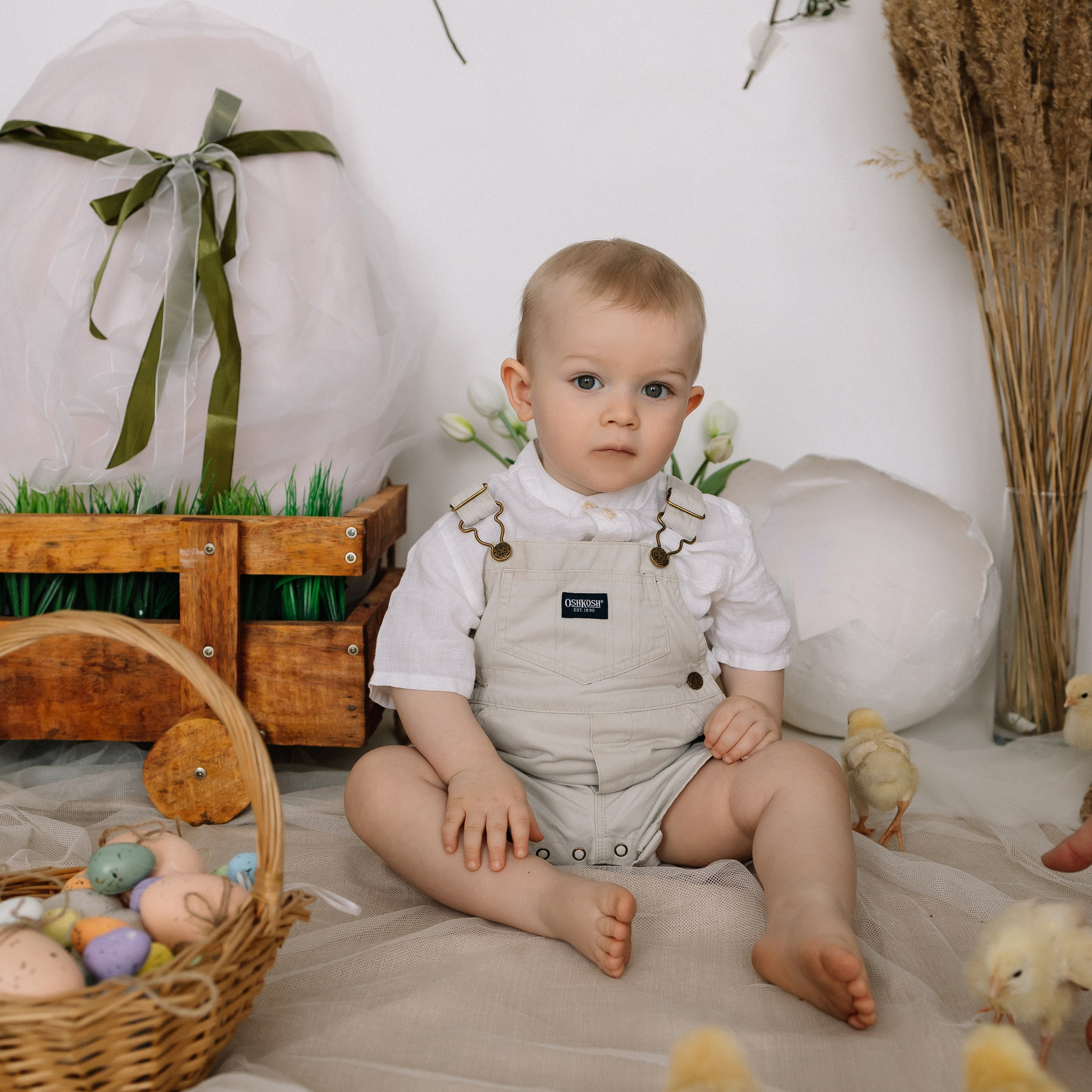 Отзывы. Женский и семейный фотограф Вологда Бучухишвили Диана, обучение