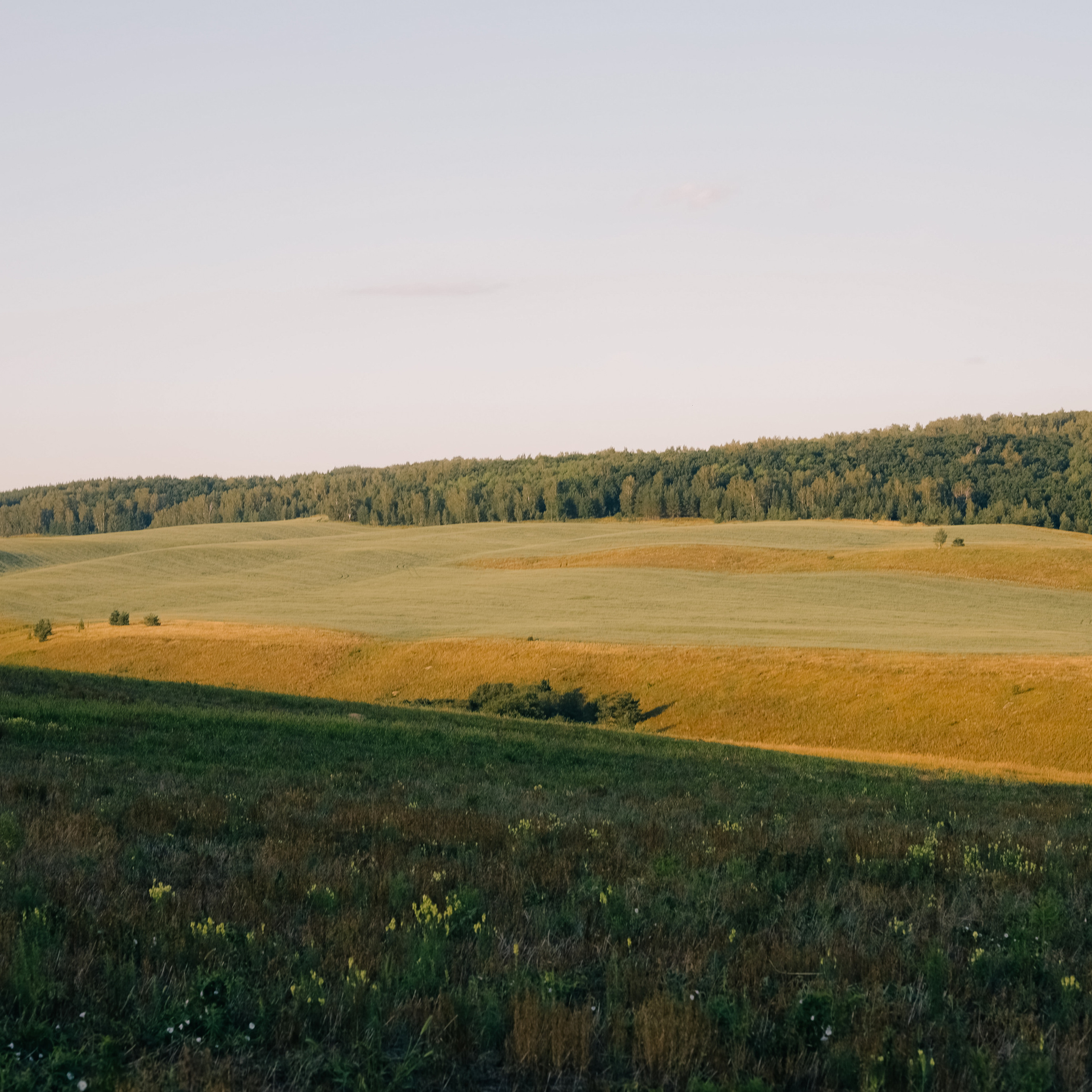 Отзывы. Фотограф в Санкт-Петербурге Шура Капустина