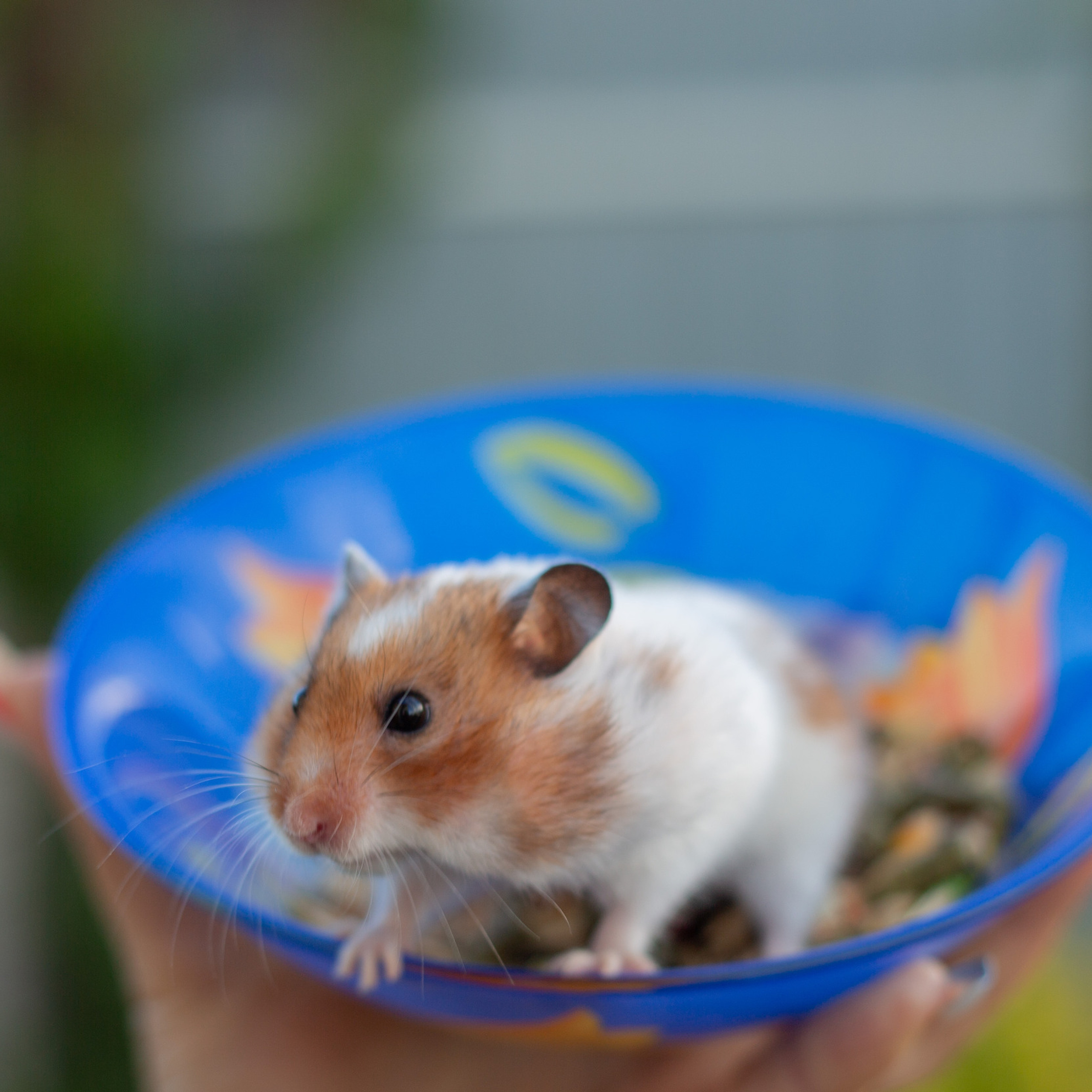 Отзывы. Детский и семейный фотограф Барнаул Татьяна Губанова