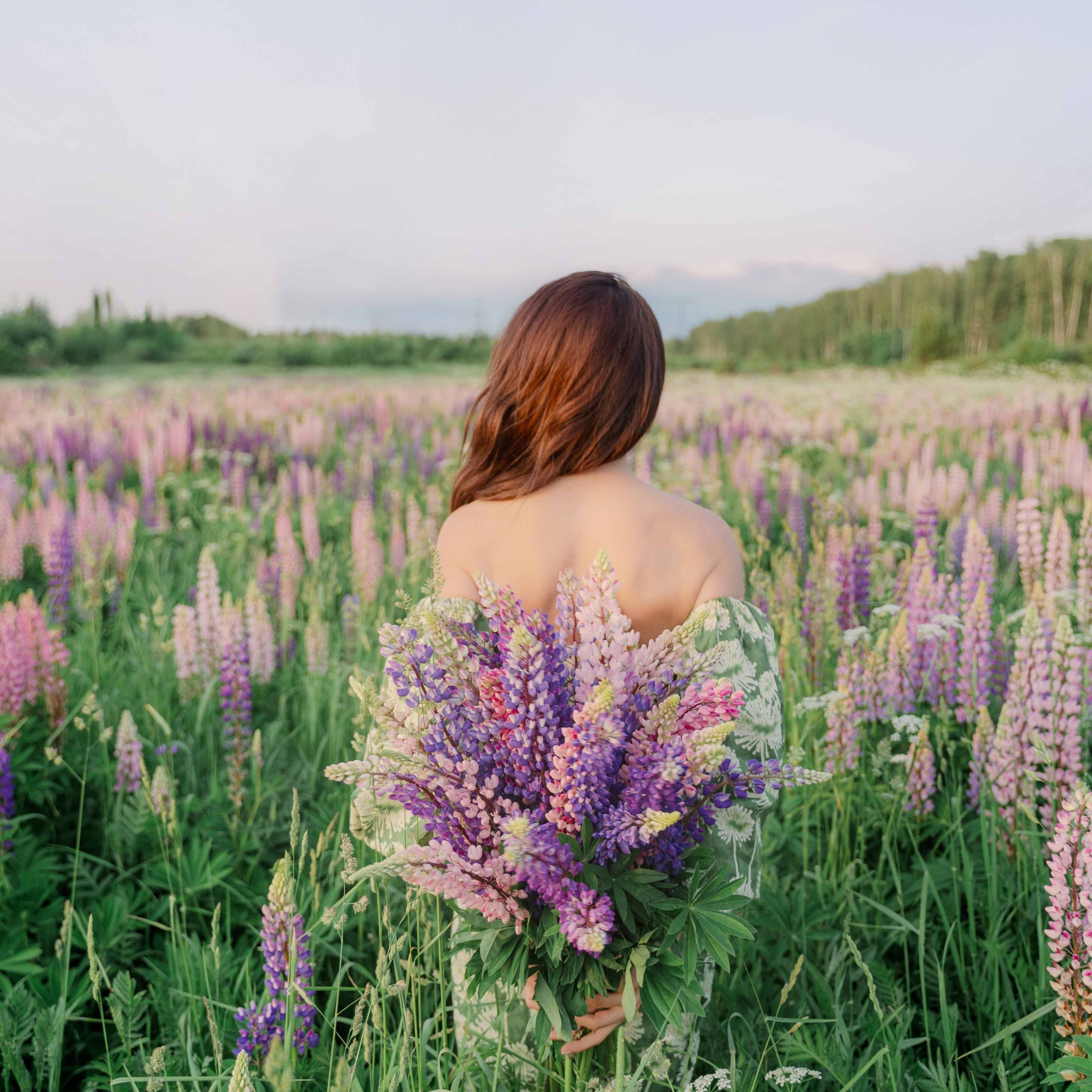 Наташа и люпины