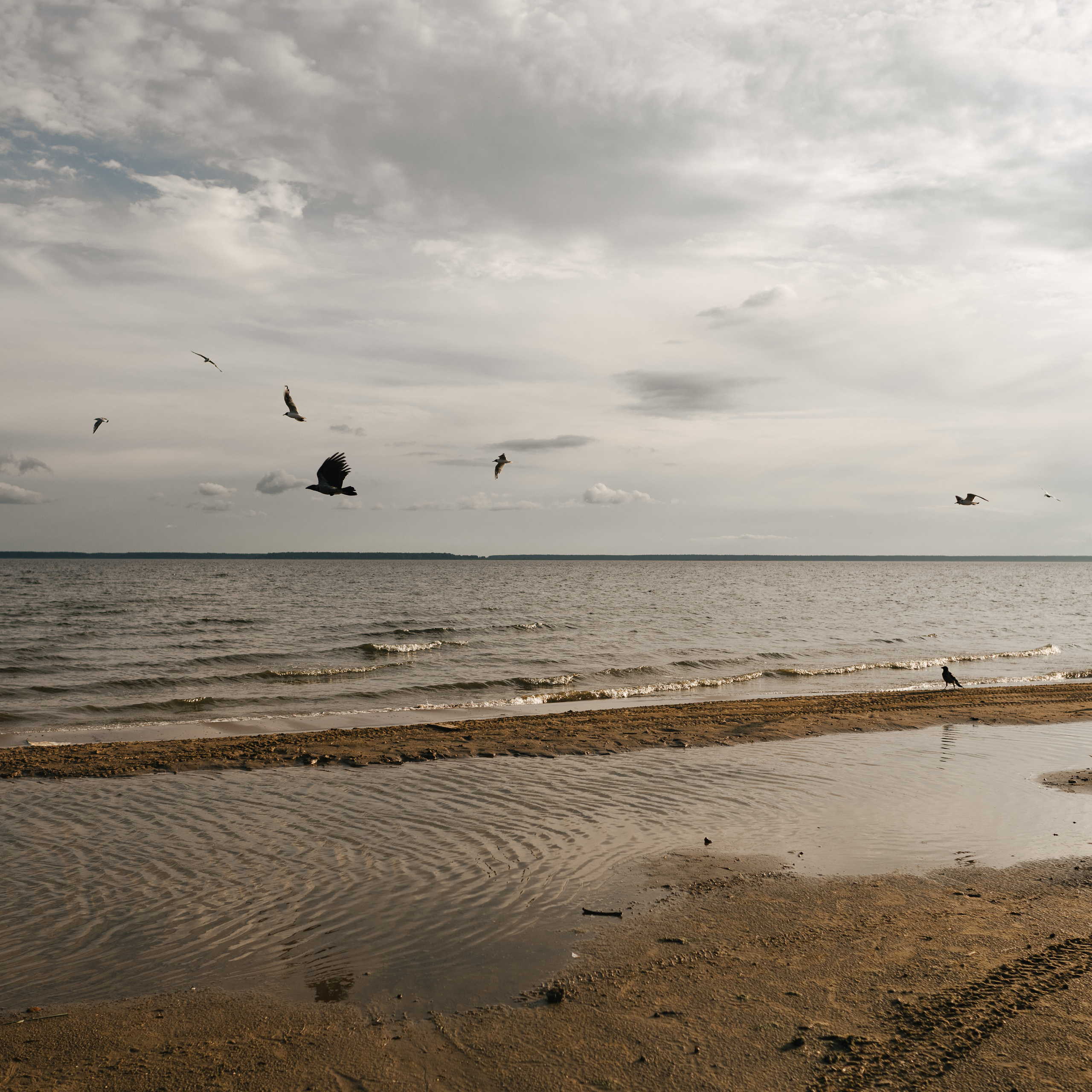 Отзывы. Фотограф Параничева Ольга Череповец