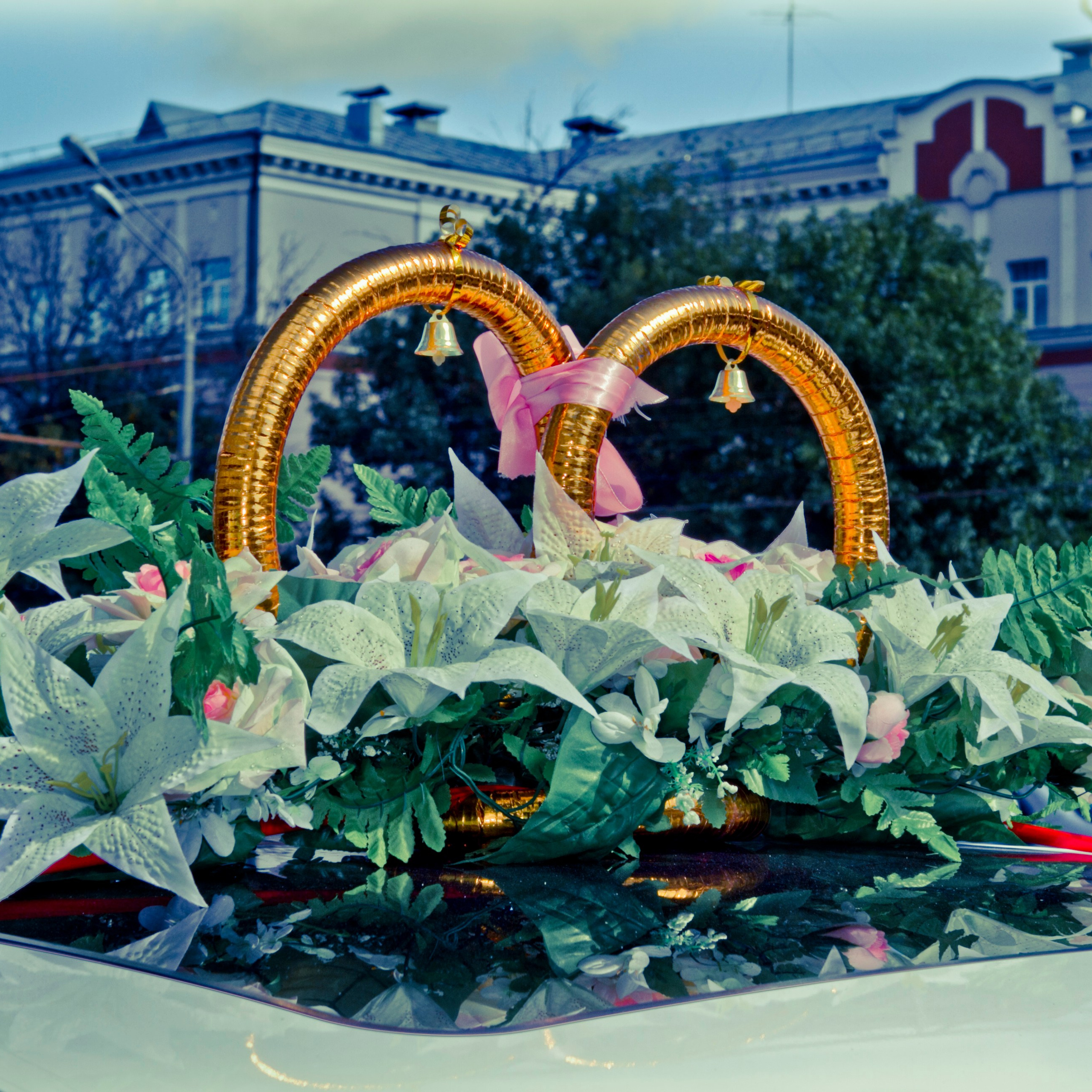 Свадьба Юрий и Юлия Загс