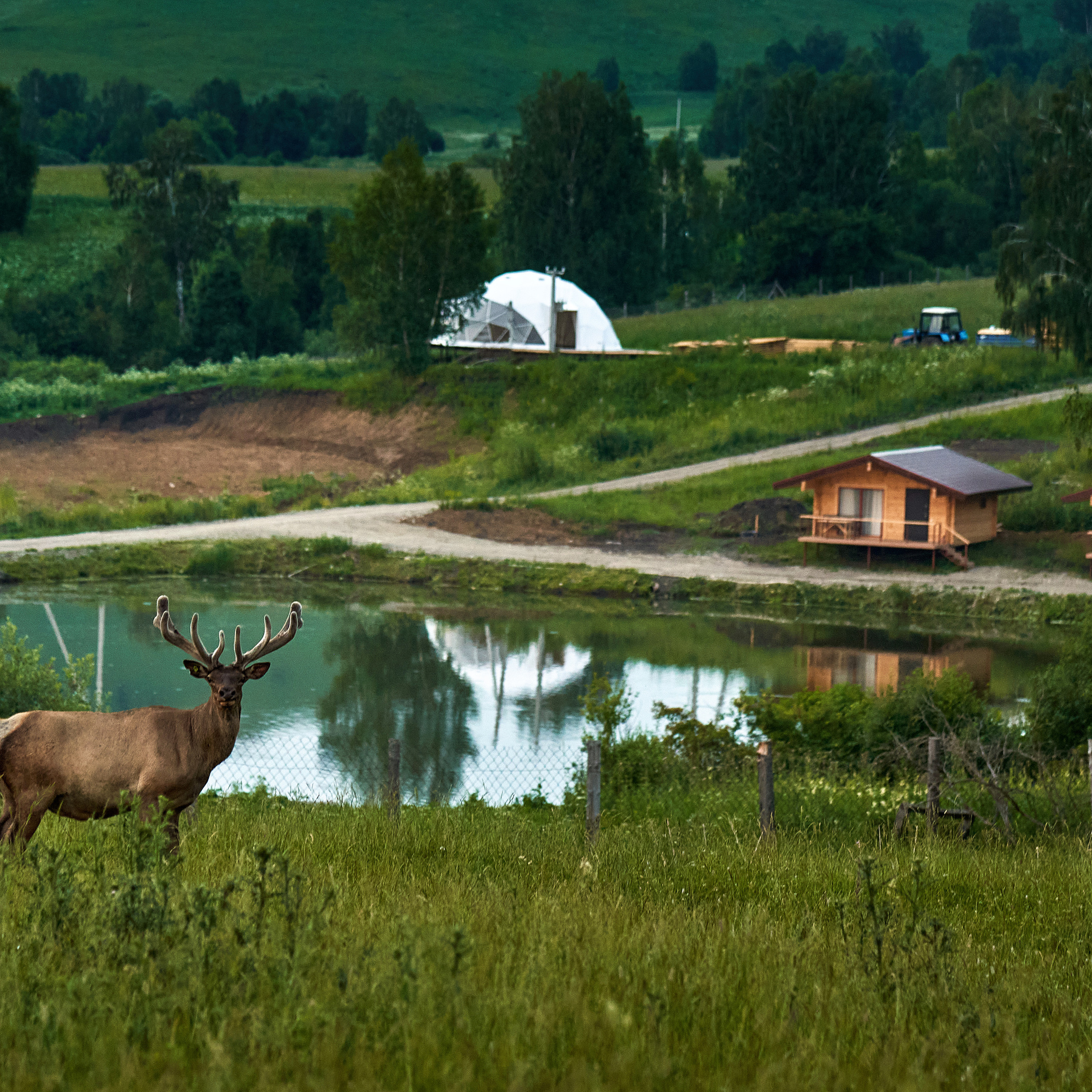 Отзывы о работе фотографа: мнения клиентов. Фотограф Опыт Качество Скорость Горный Алтай Барнаул