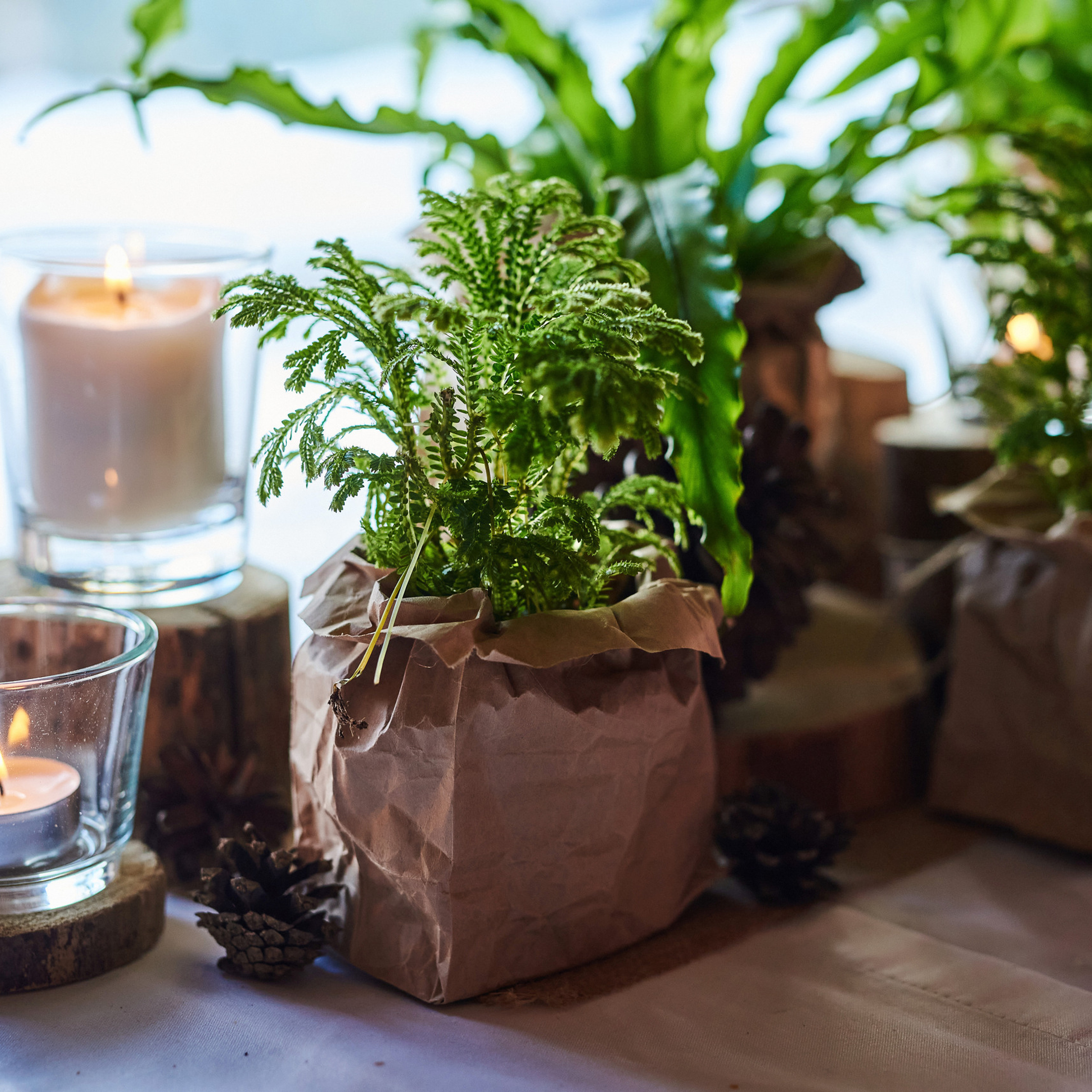 Отзывы о работе фотографа: мнения клиентов. Фотограф Опыт Качество Скорость Горный Алтай Барнаул