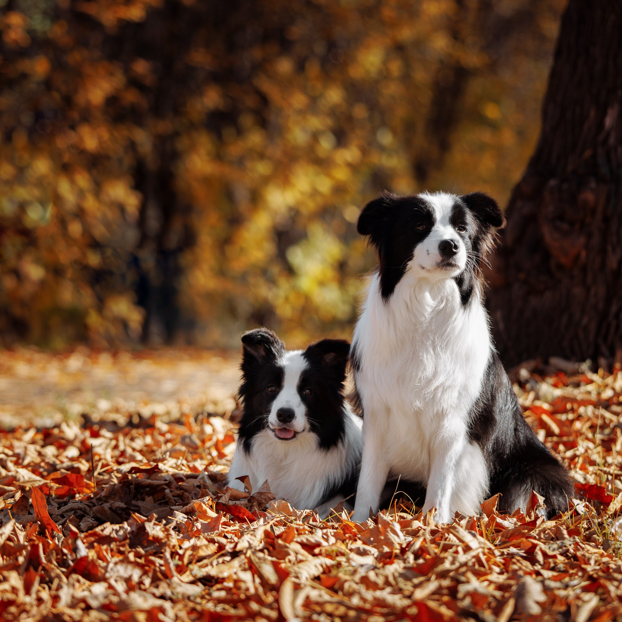 Выставка октября в&nbsp;Оренбурге