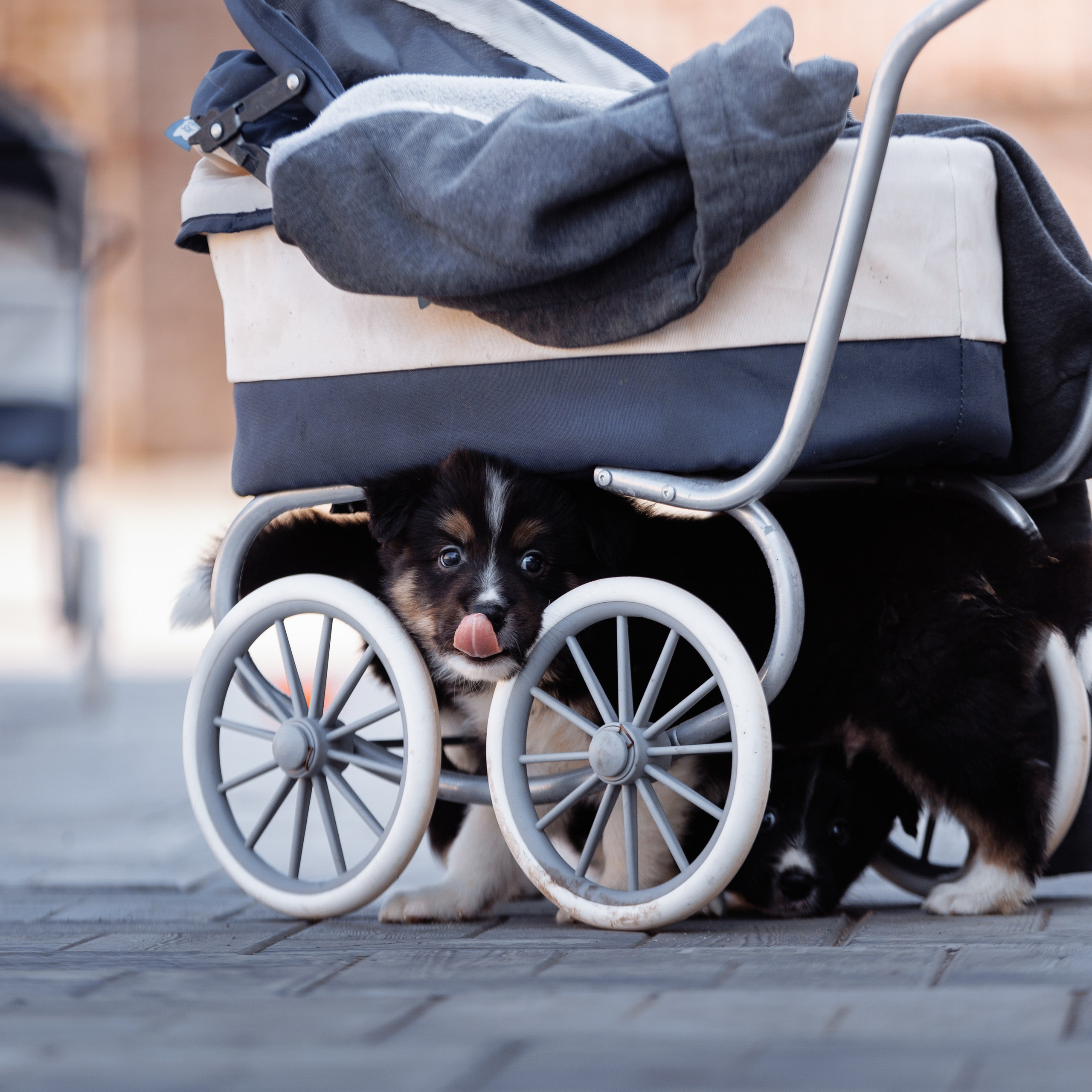 МММ&nbsp;— маленькое мягкое милое