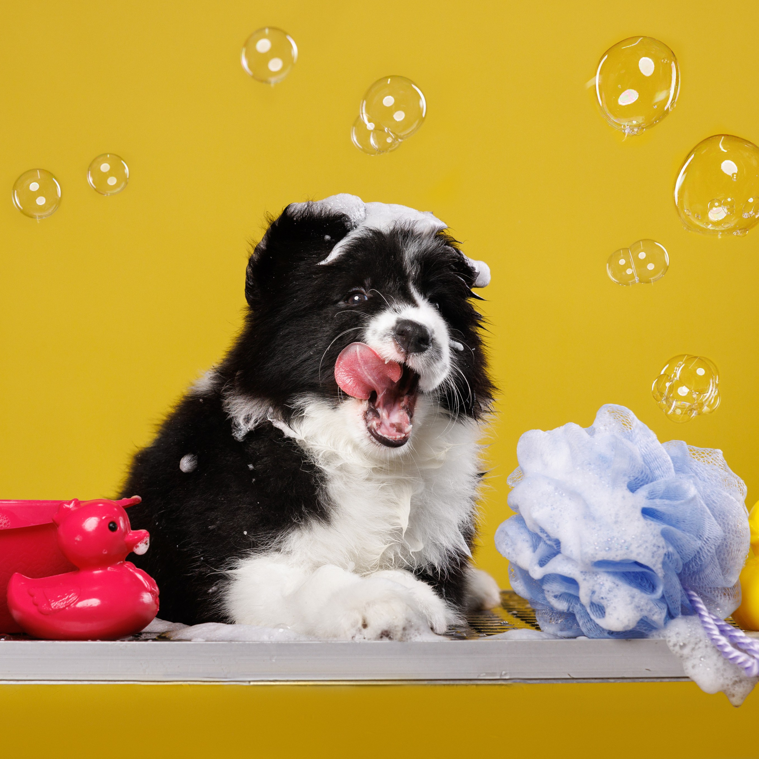 На&nbsp;водной основе