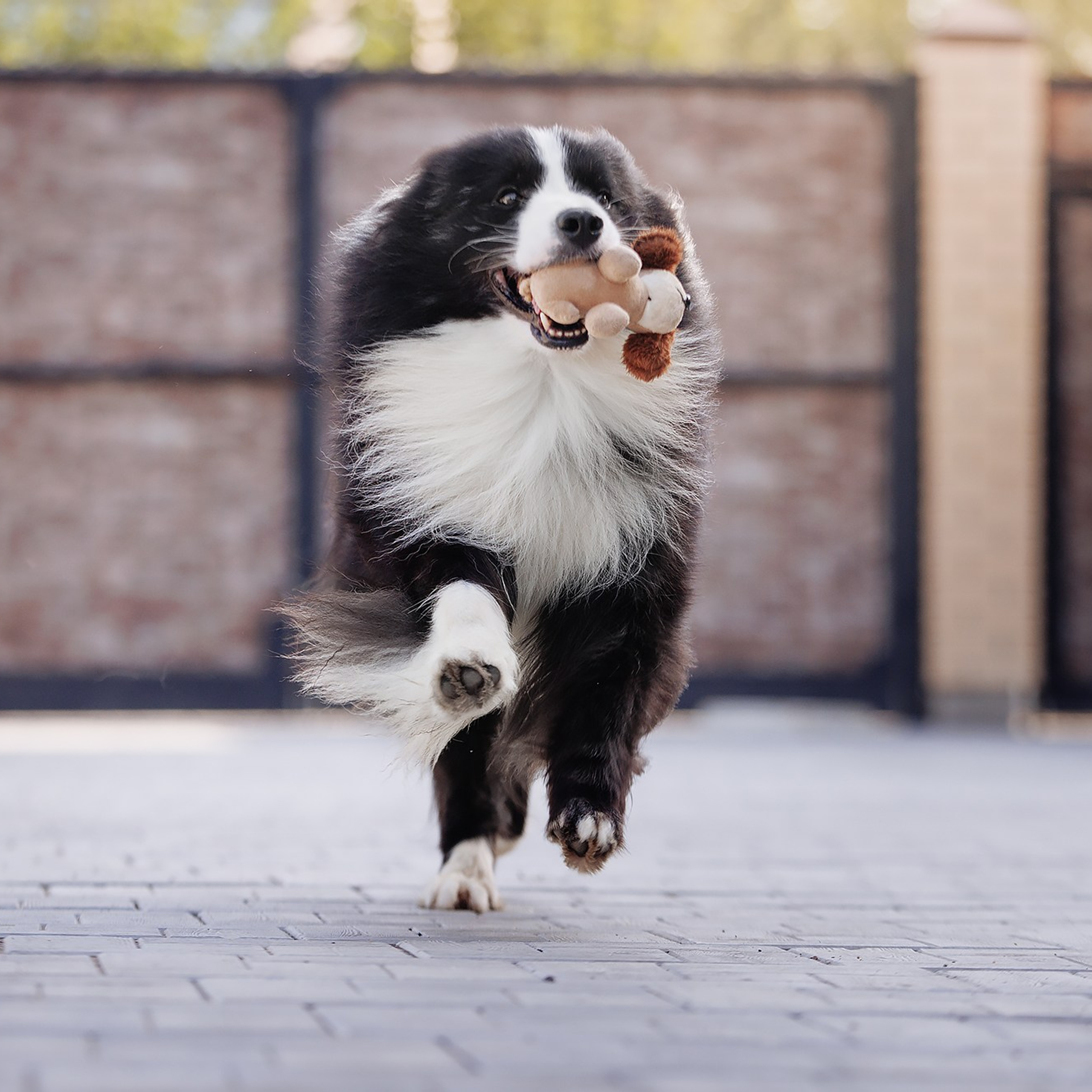 Трава у&nbsp;дома