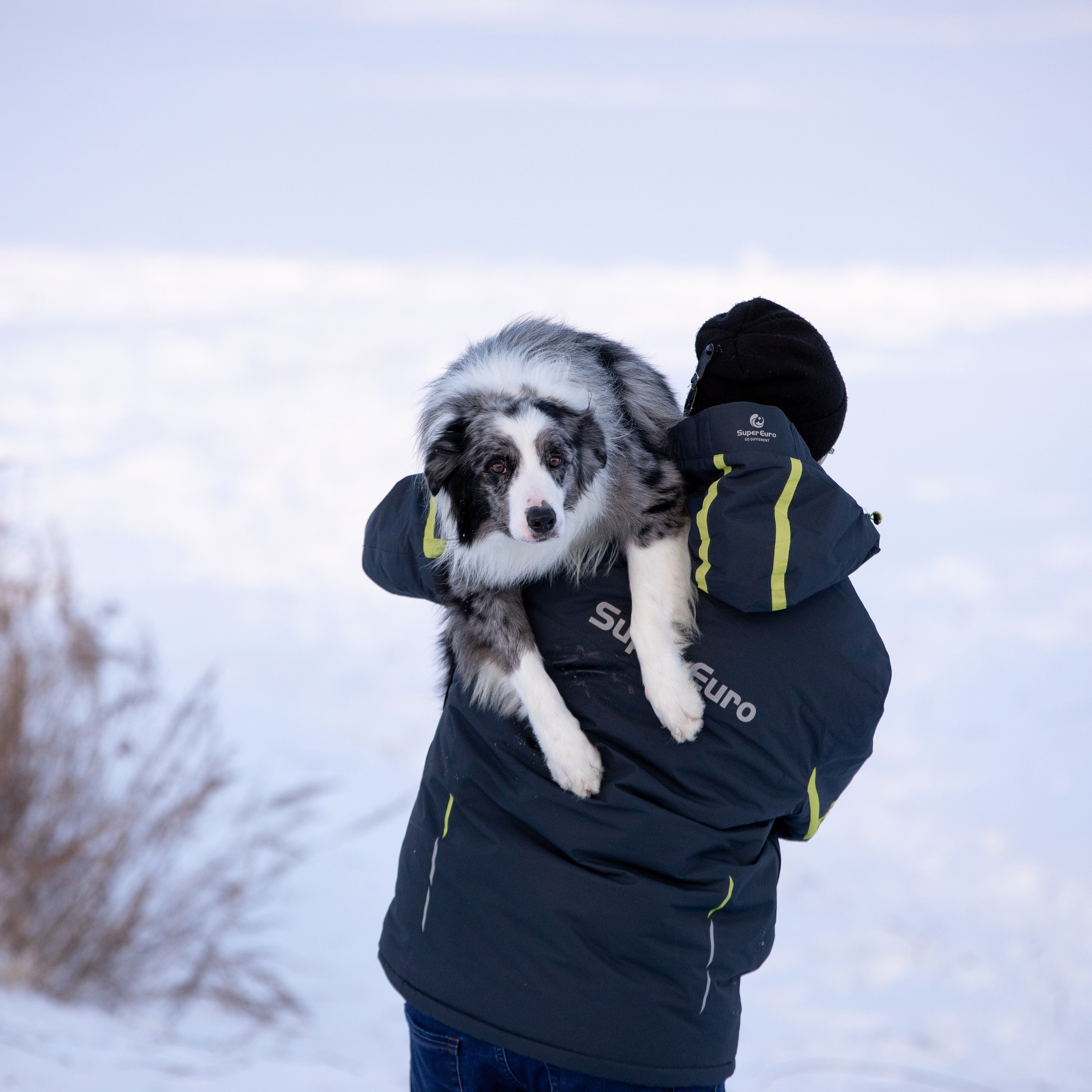 Мороз и&nbsp;солнце