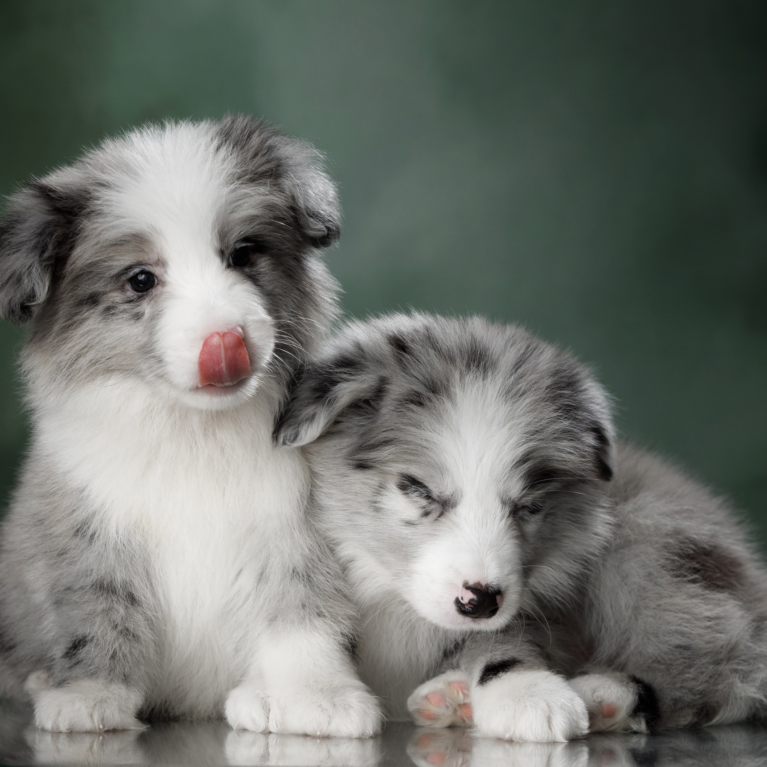 Март. Весна. 22