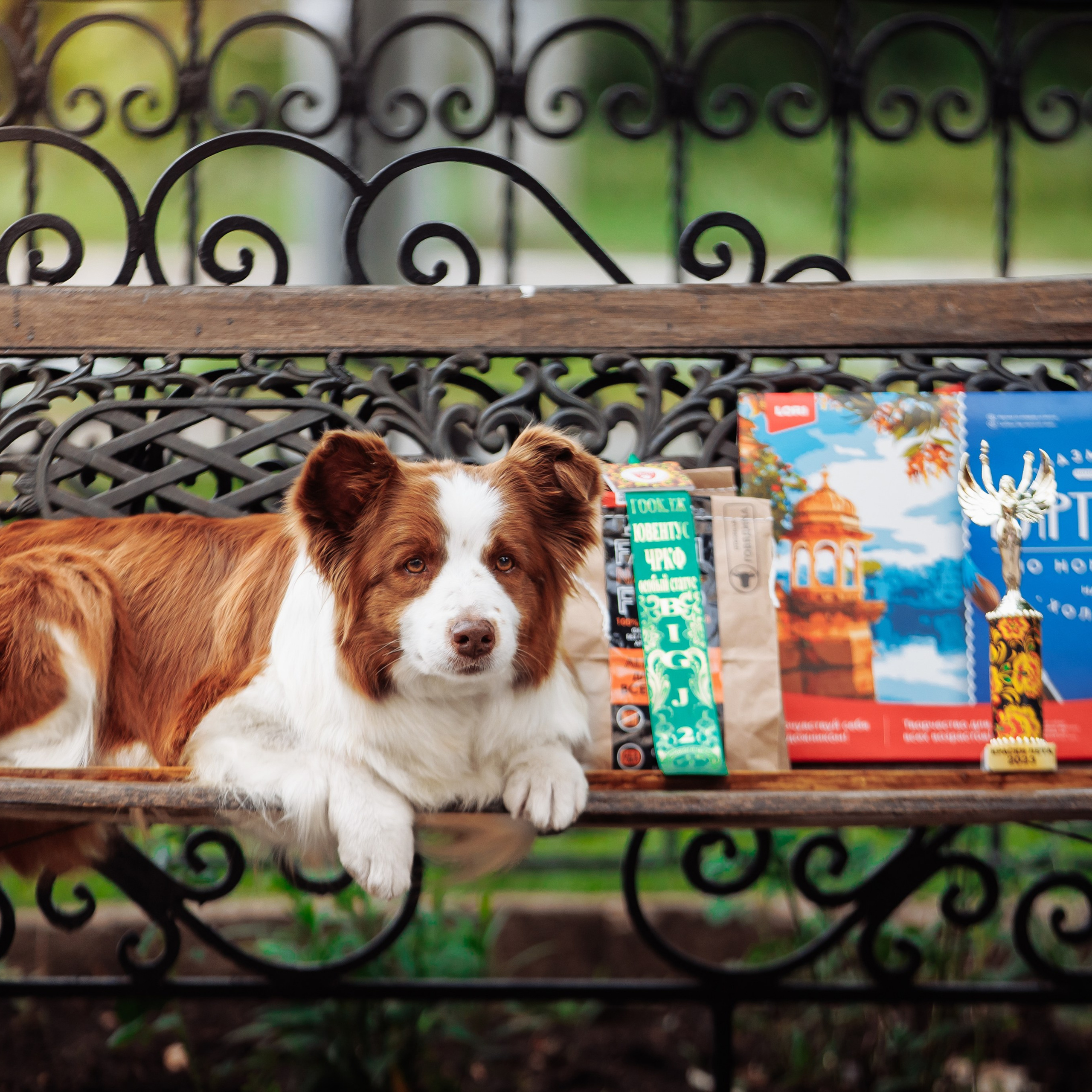 Краски&nbsp;23