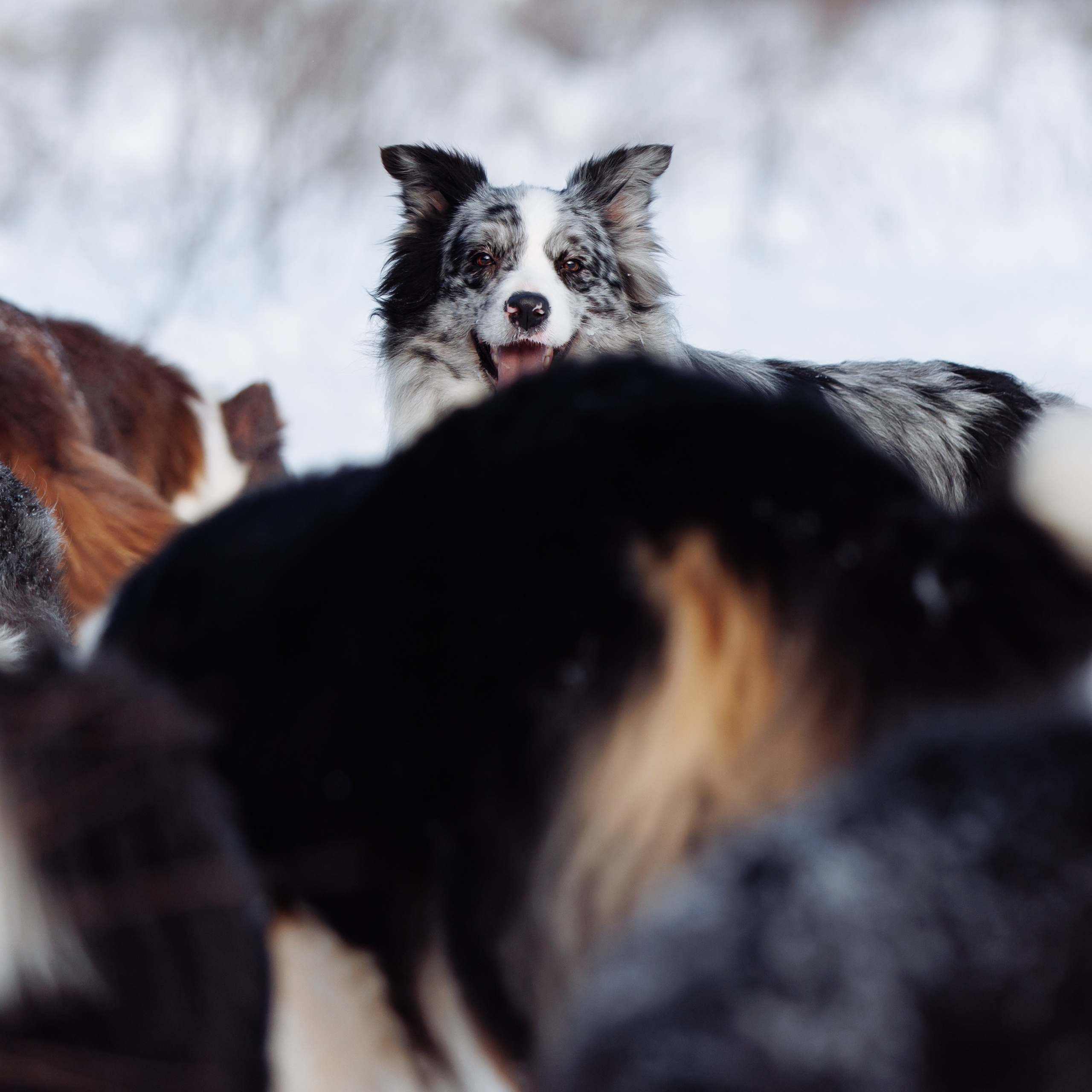 Яркий январь