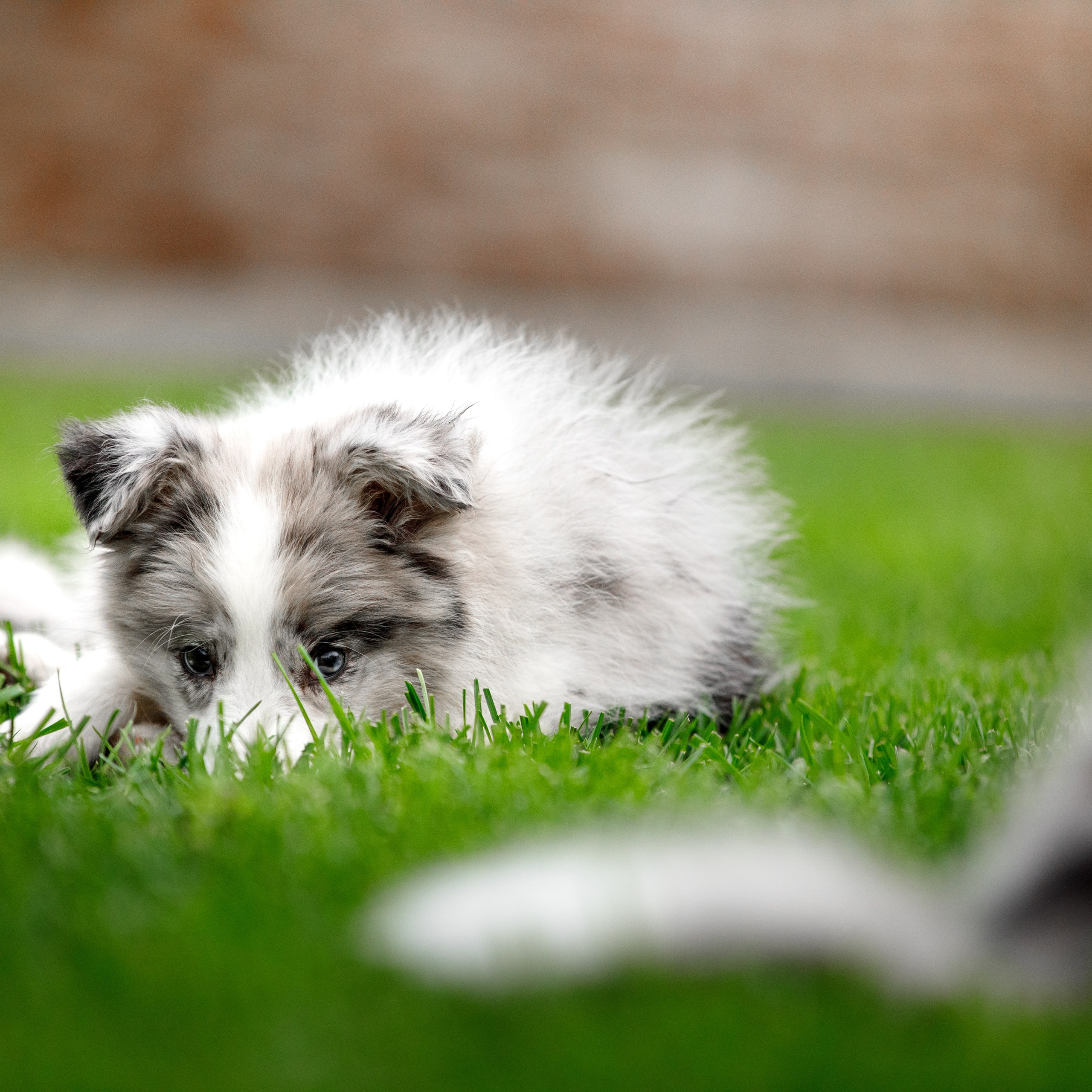 Болтовня в&nbsp;саду