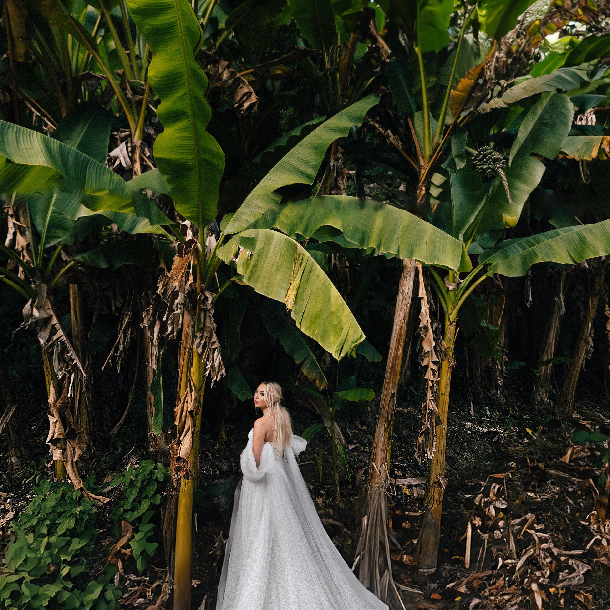 Профессиональный свадебный фотограф в Сочи для вашего идеального дня. Свадебный фотограф в Абхазии, Сухум, Гагра, Сочи