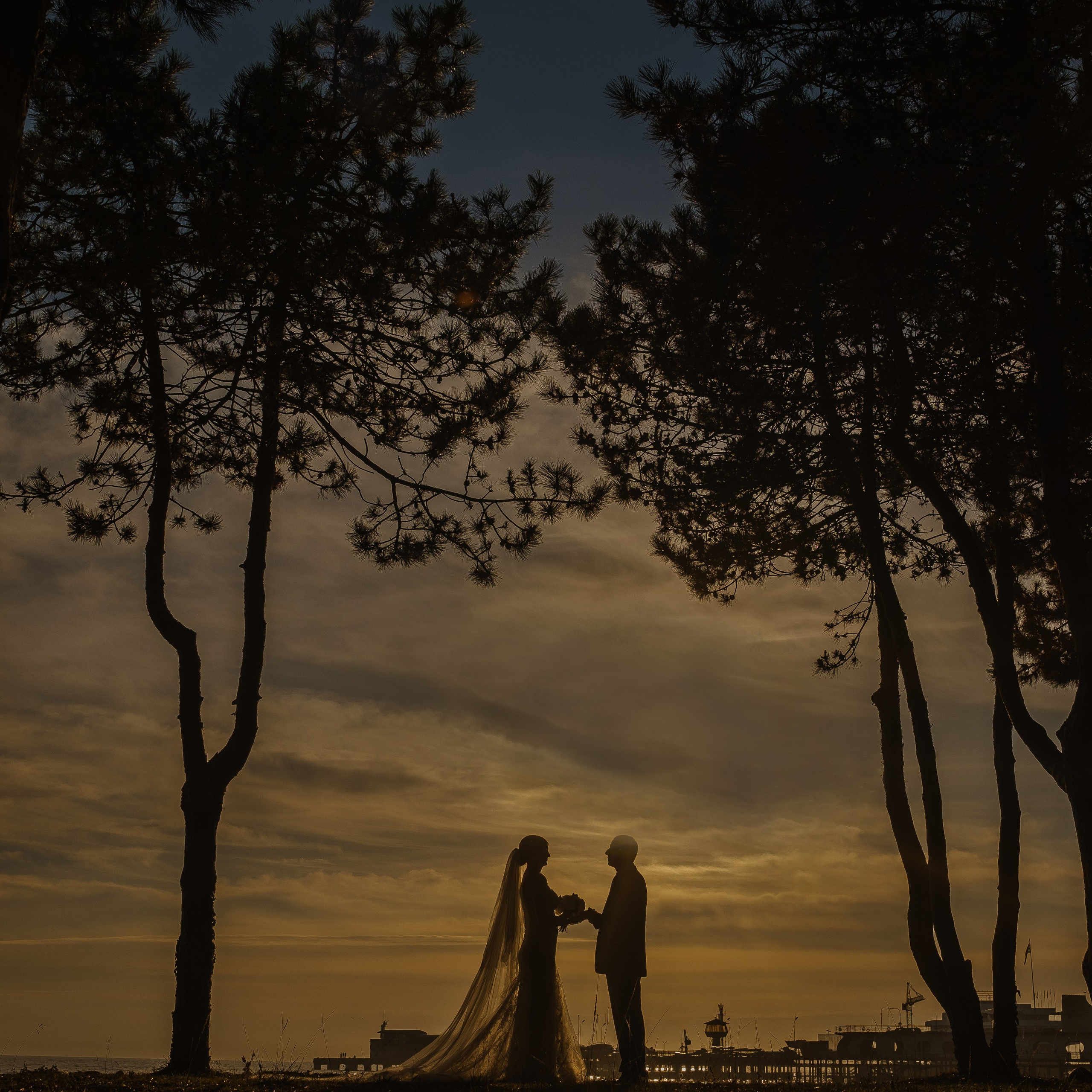 Профессиональный свадебный фотограф в Сочи для вашего идеального дня. Свадебный фотограф в Абхазии, Сухум, Гагра, Сочи