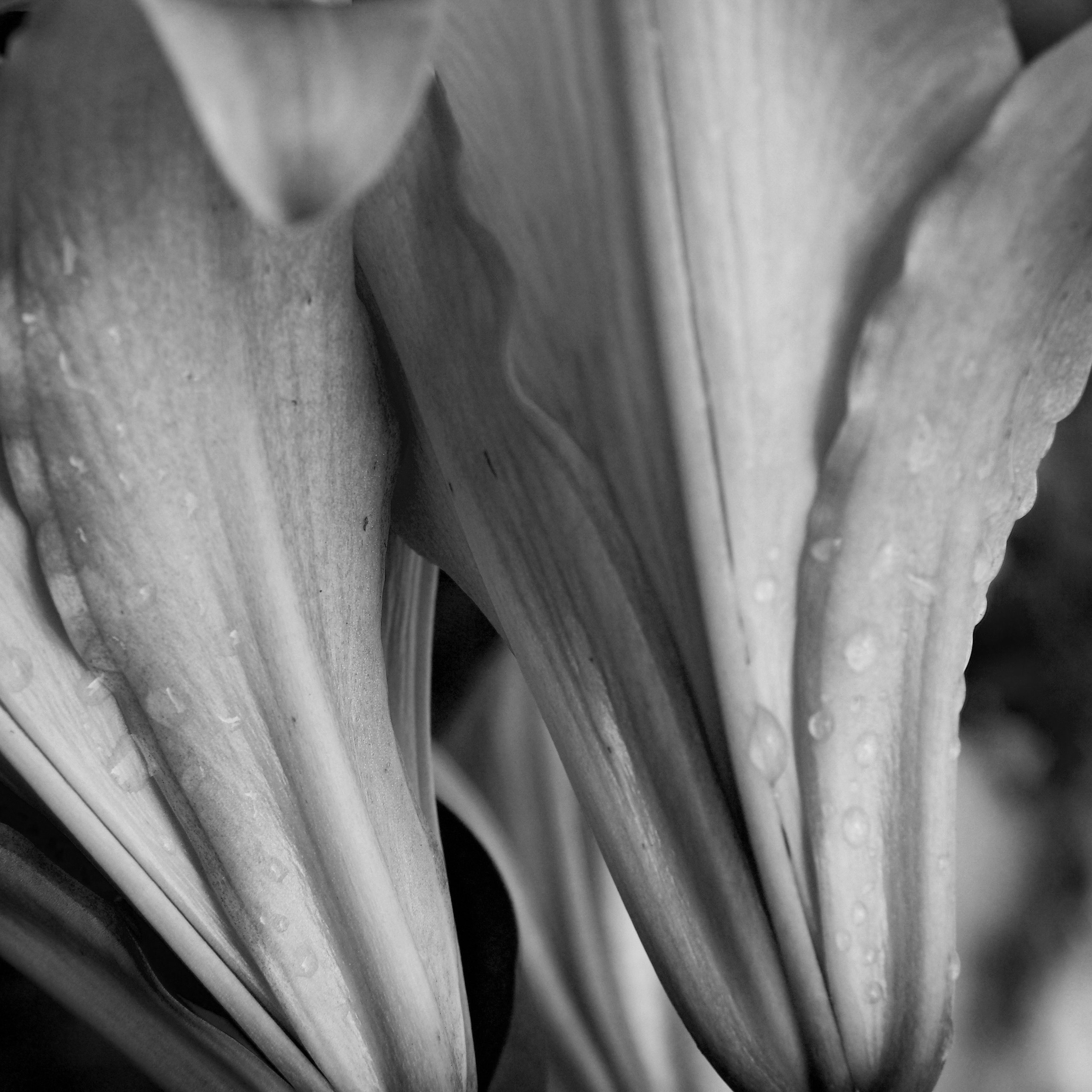 Предметы и абстракция