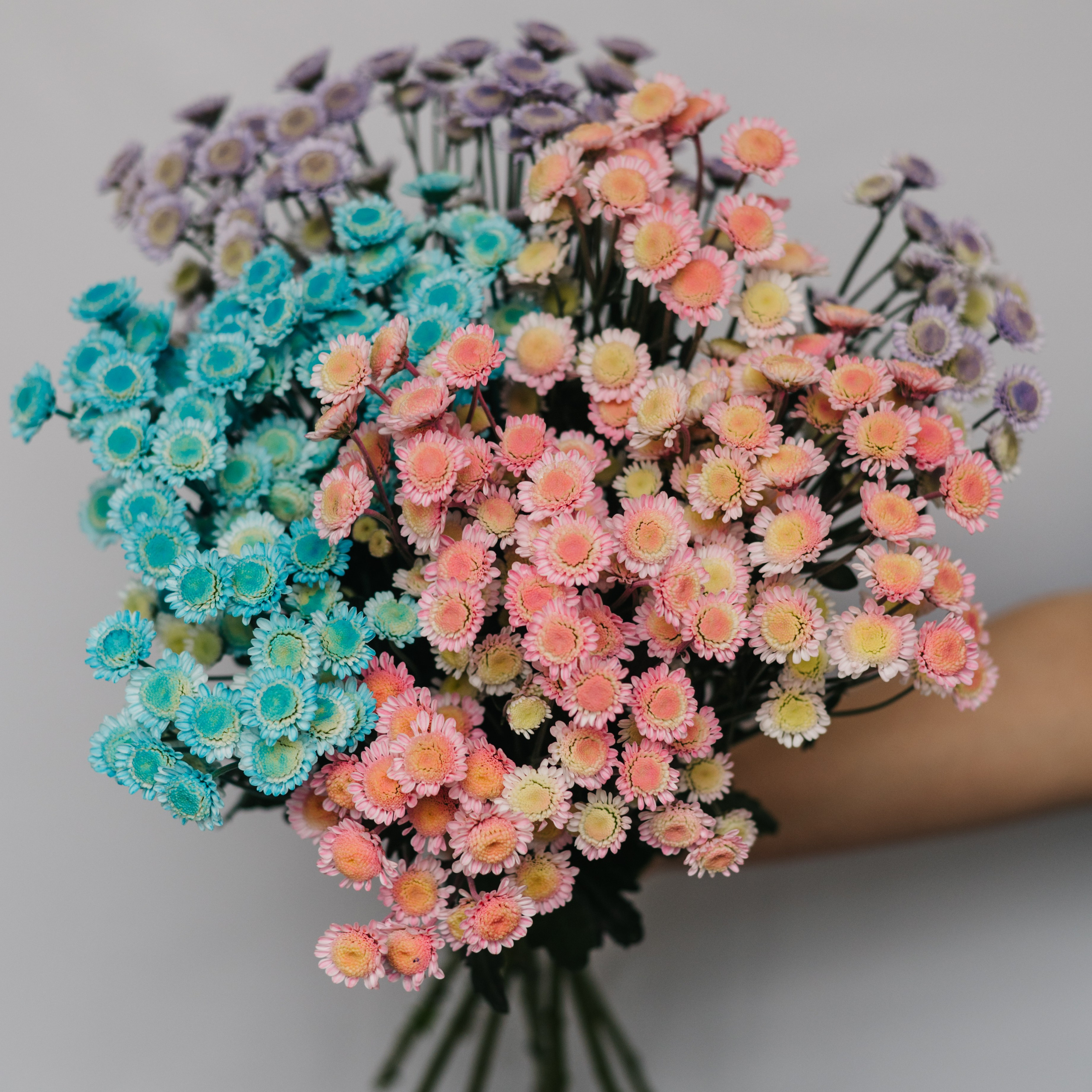 Отзывы. Фотограф Архангельск