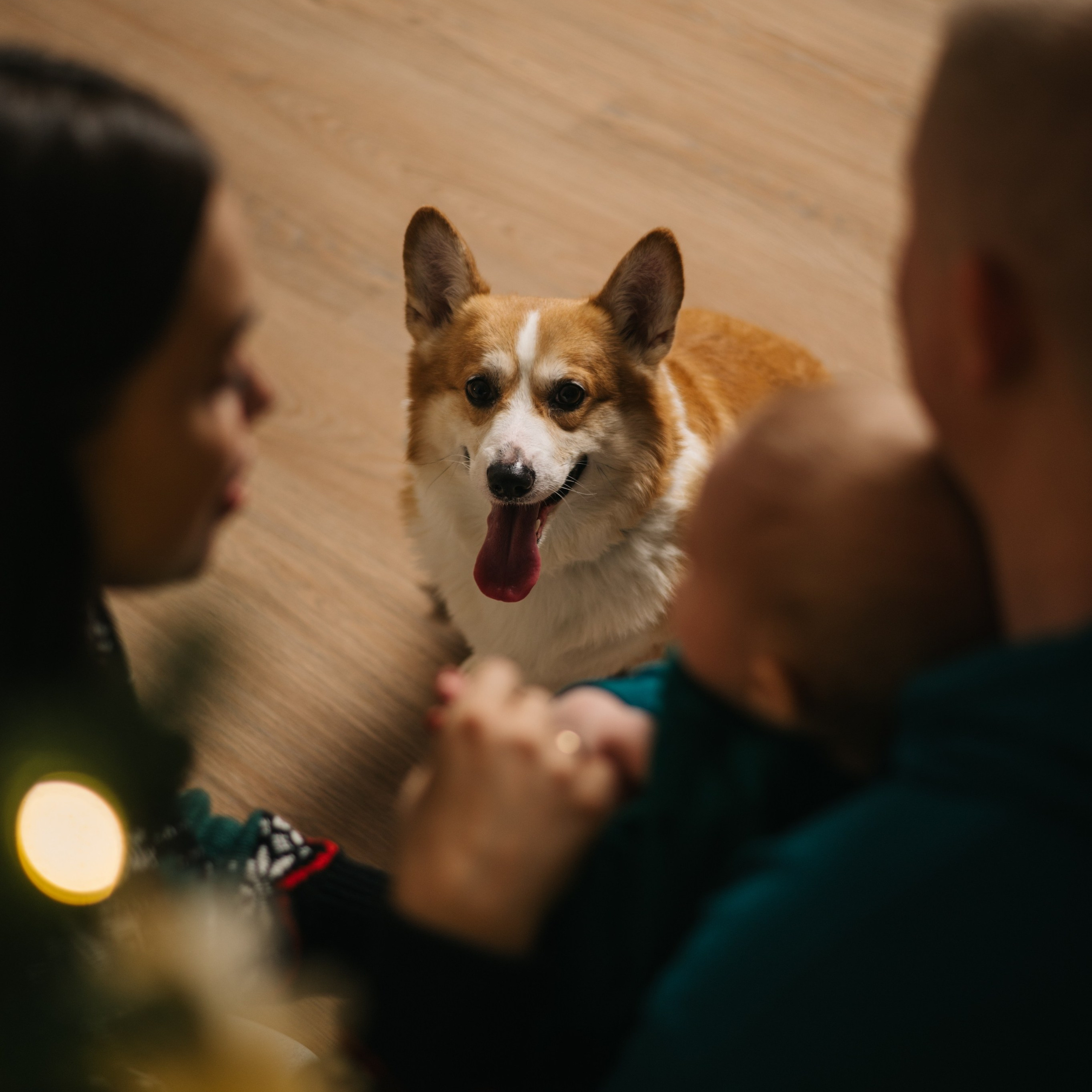 Отзывы. Фотограф Архангельск