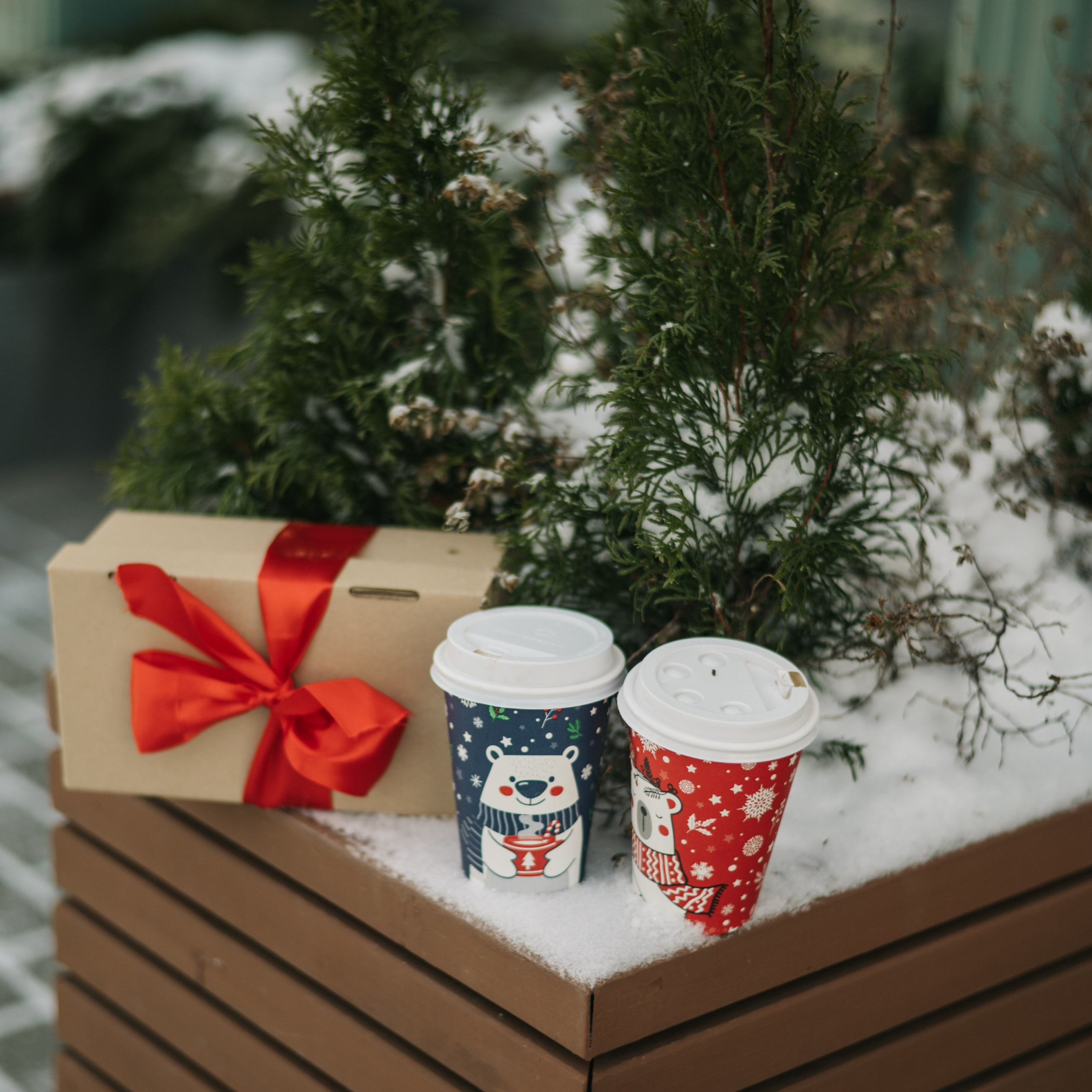 Отзывы. Фотограф Архангельск