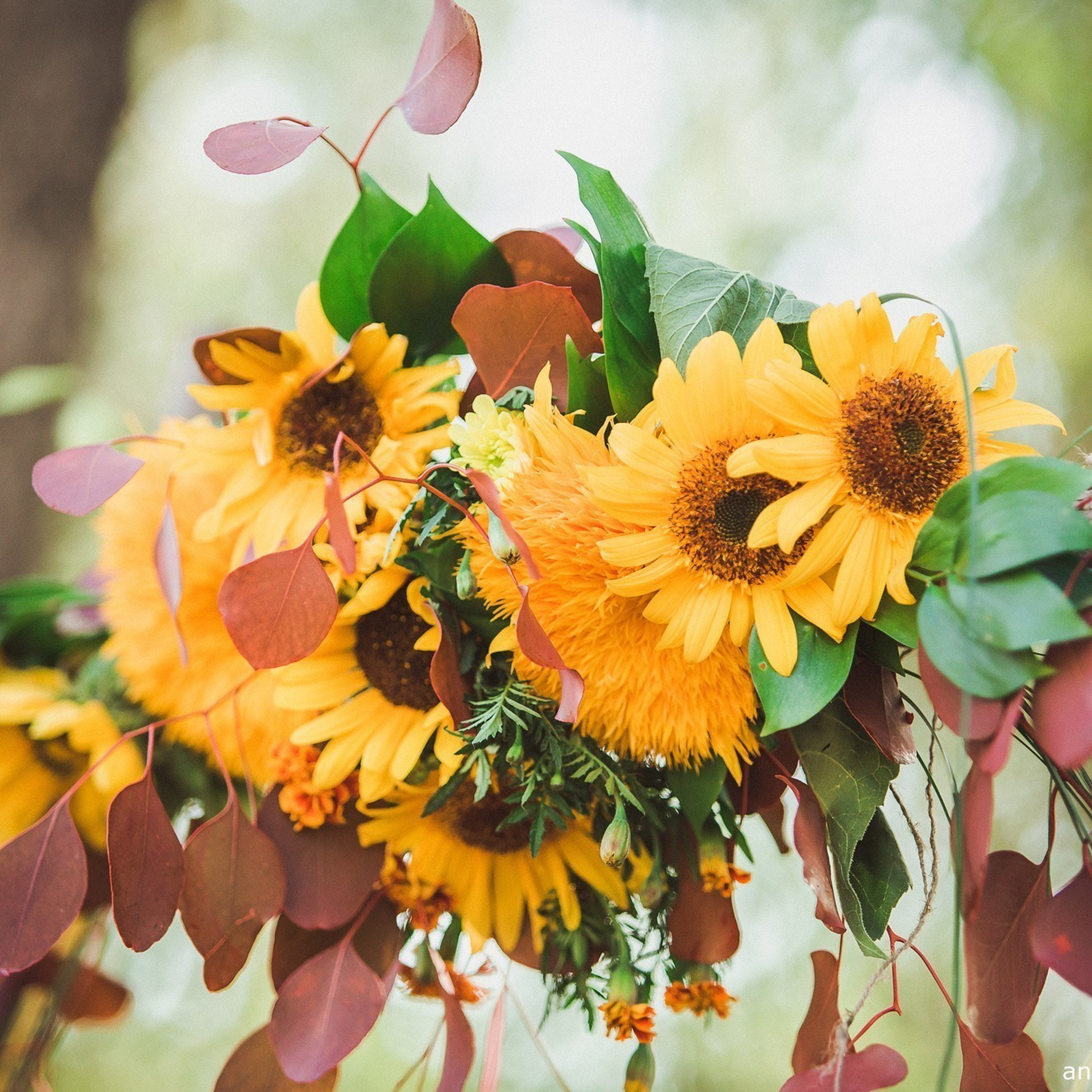 Юлия и Михаил прогулка для двоих