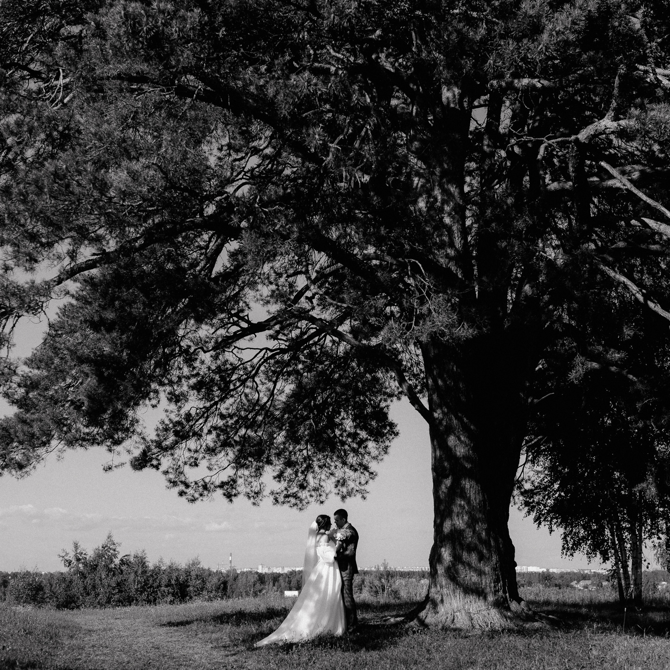 Отзывы. Свадебный фотограф Анастасия Тащилина