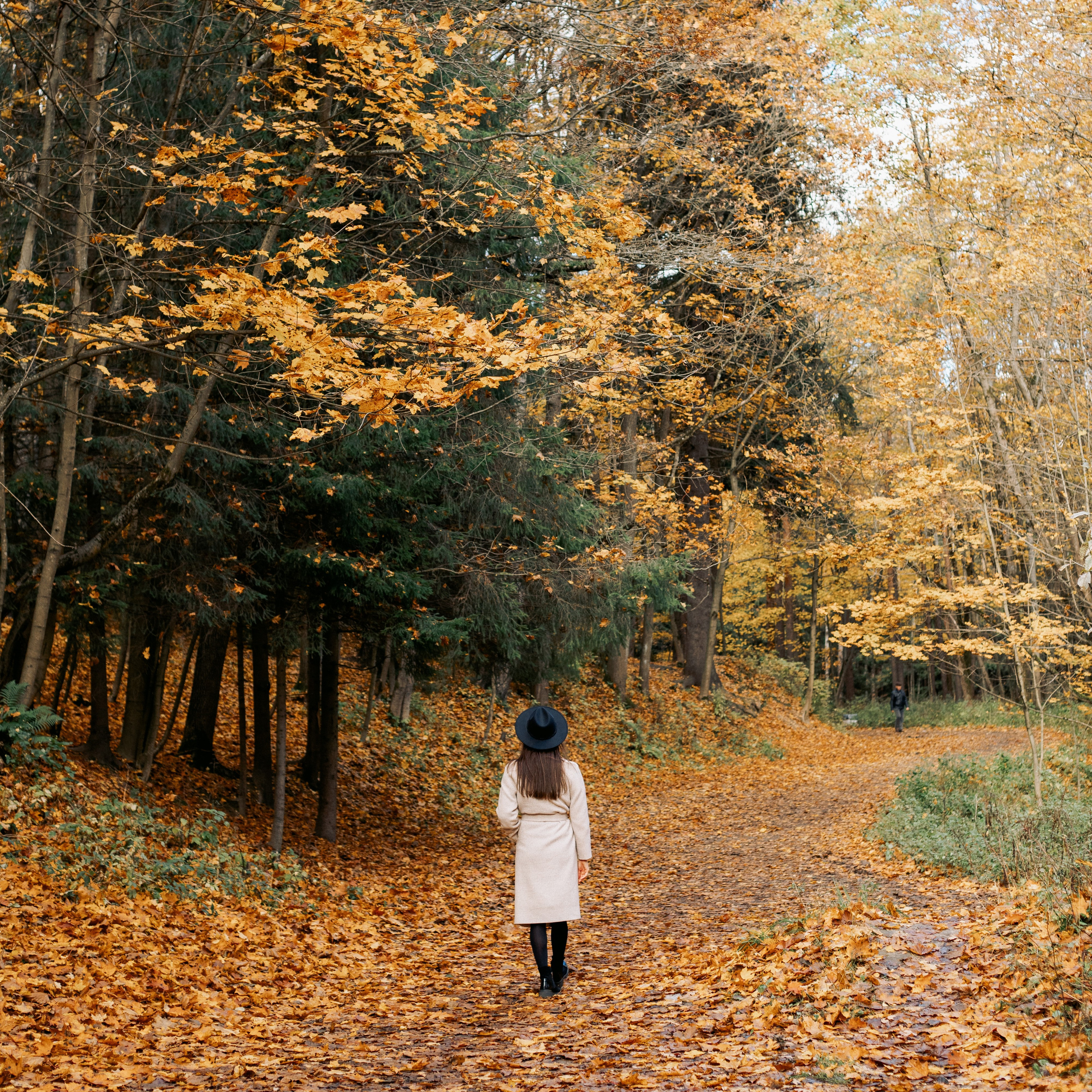 Осенняя прогулка в Шуваловском парке
