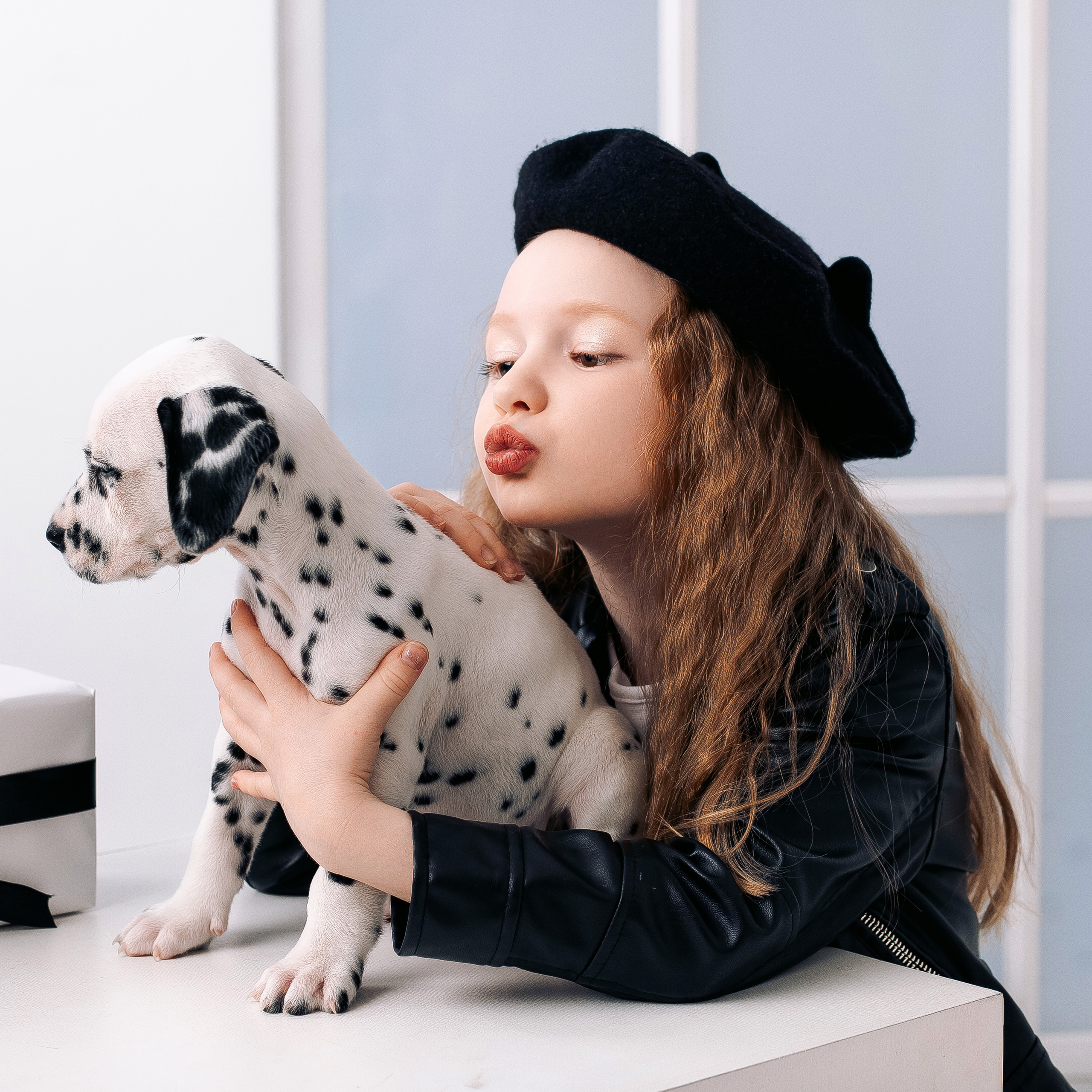 Фотопроект с далматинцами