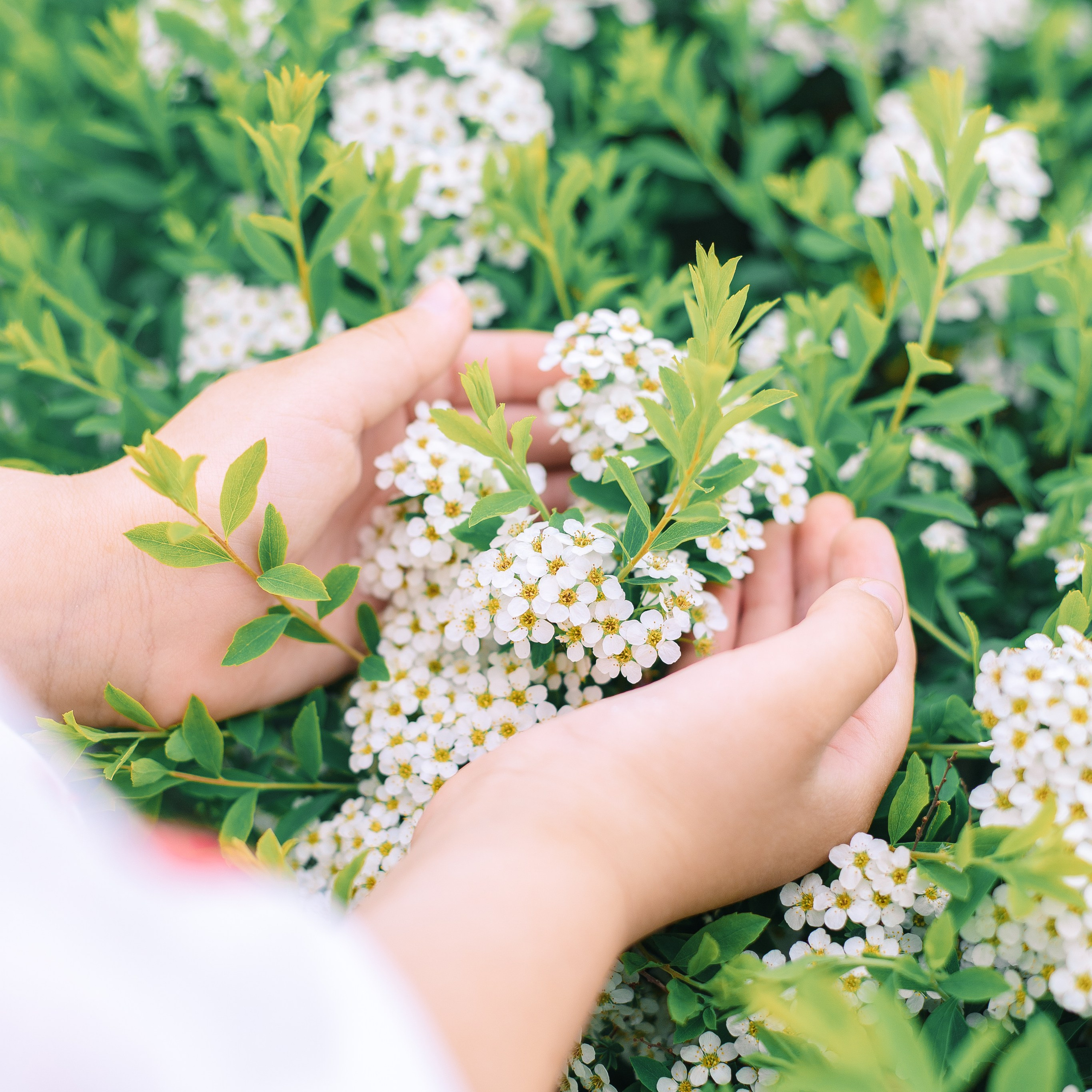 Фотосессия мамы и дочки — Муринский парк, цветение
