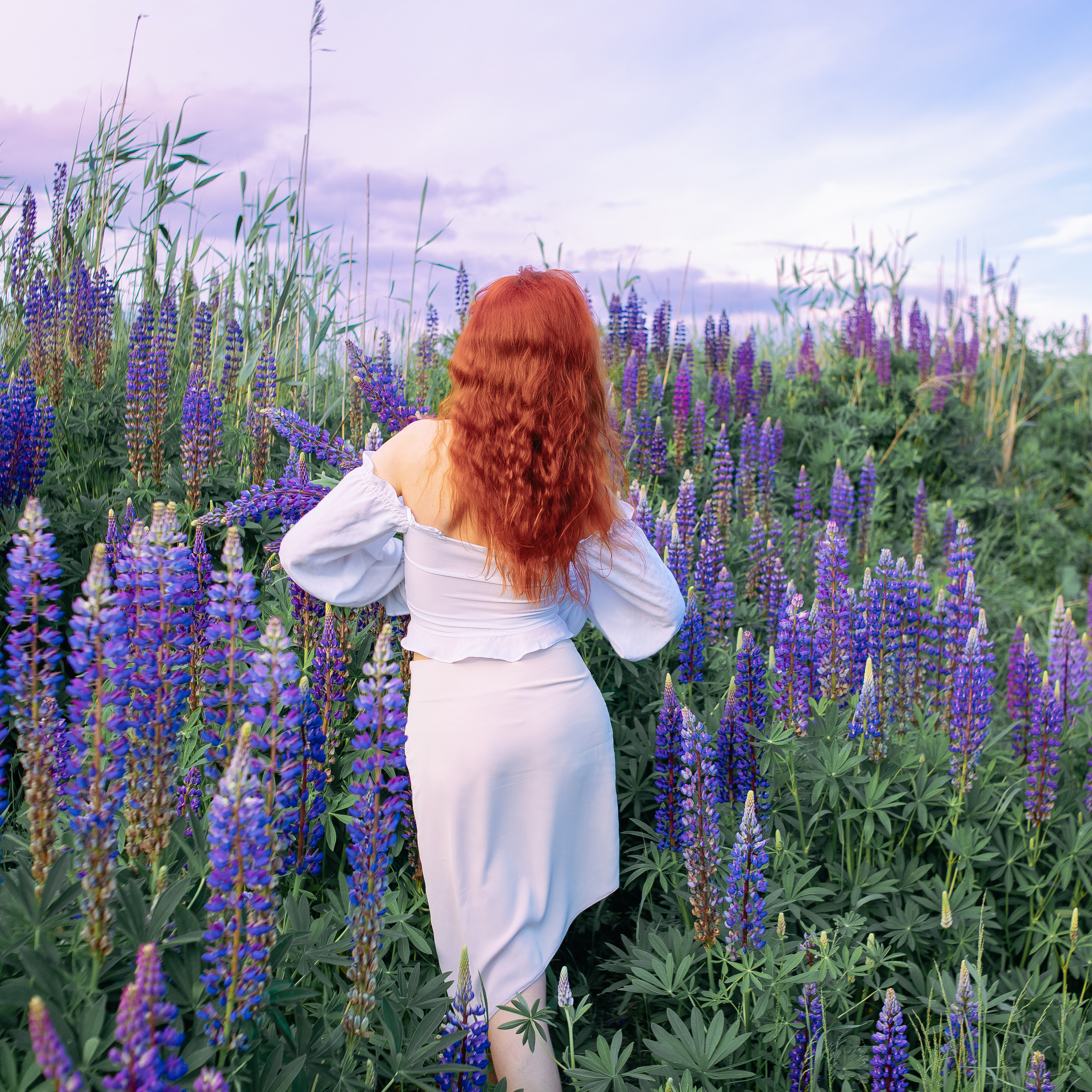 Фотосессия в люпинах