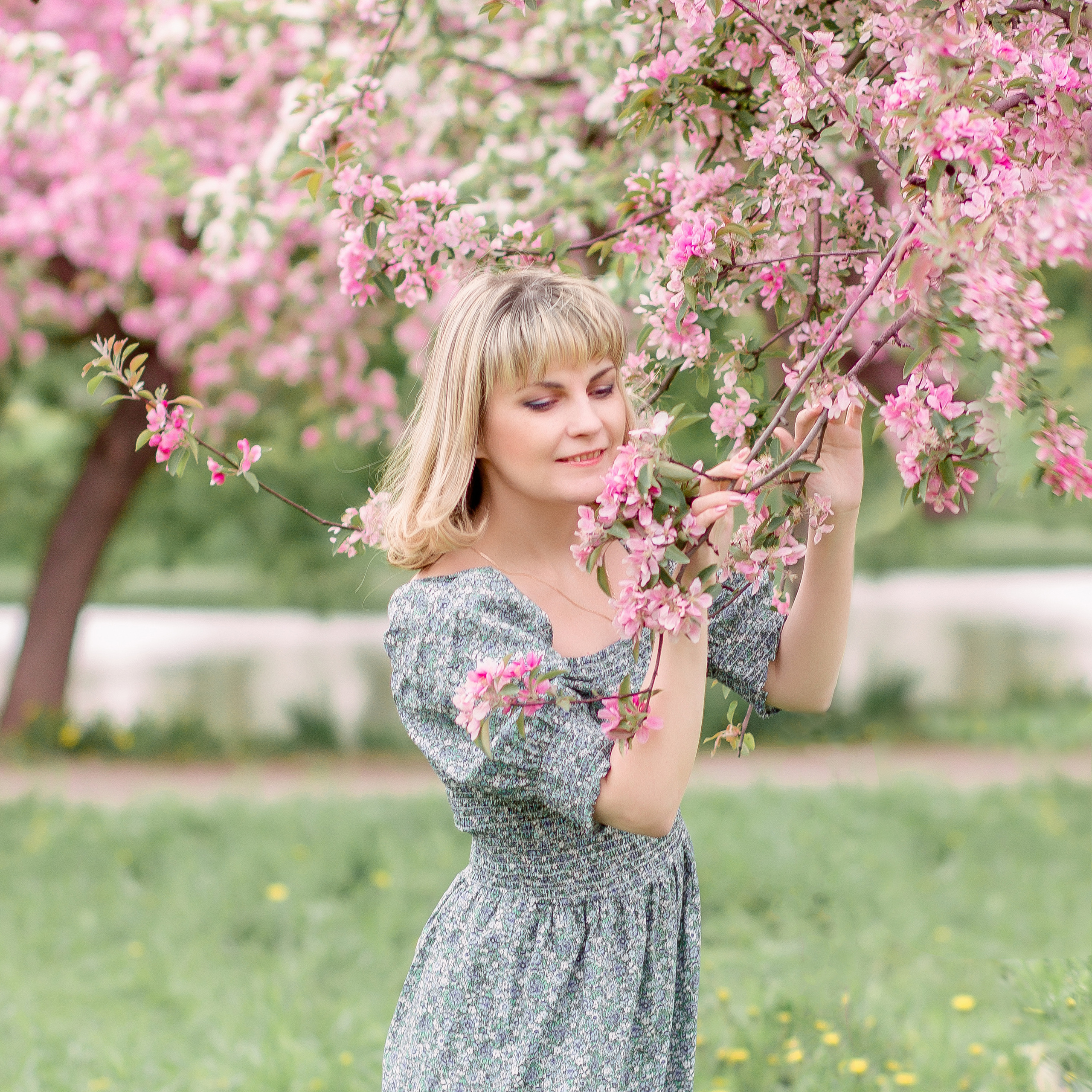 Оксана цветение в яблоневом саду