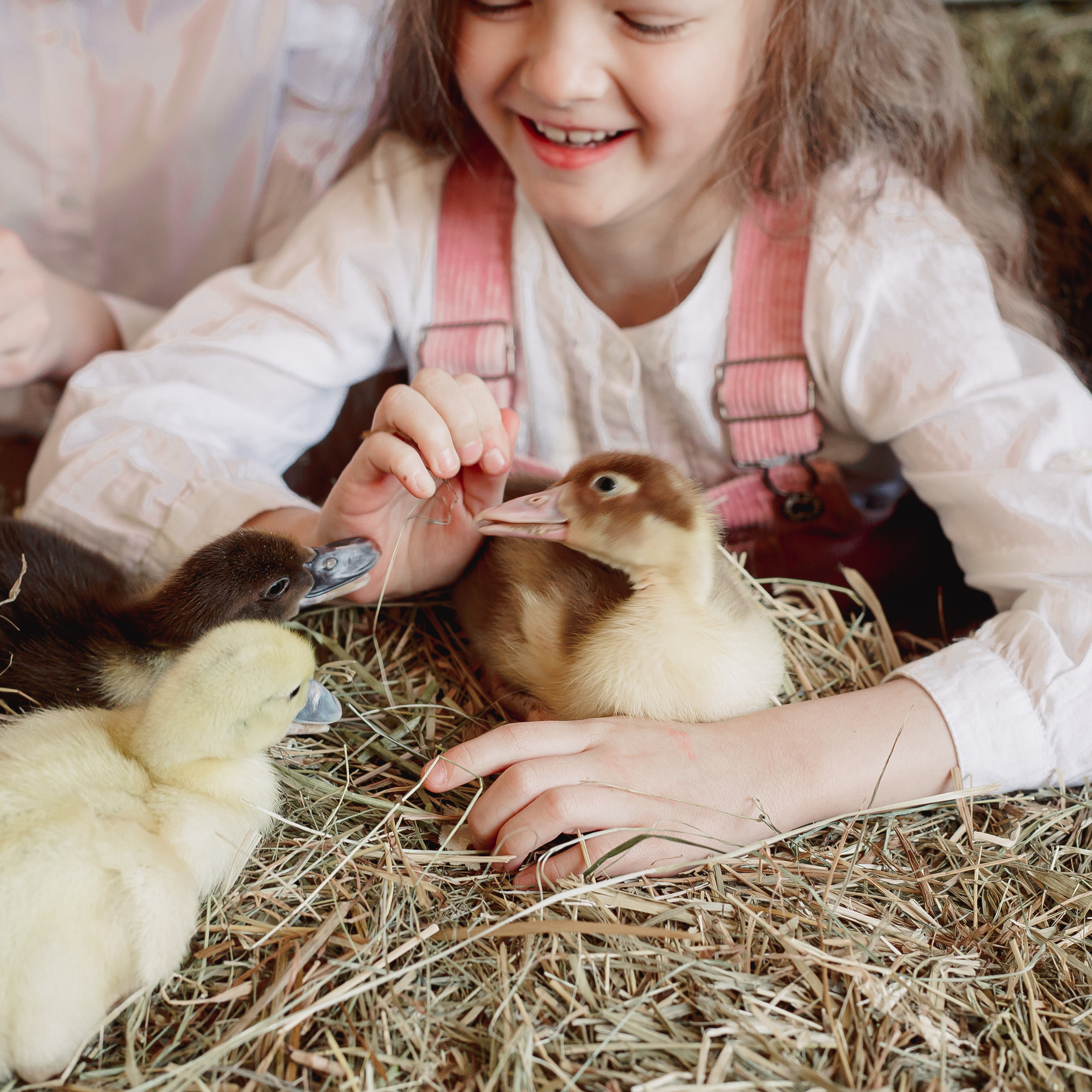 Отзывы Фотограф в Санкт-Петербурге Анна Скворцова. Фотограф в Санкт-Петербурге, Анна Скворцова