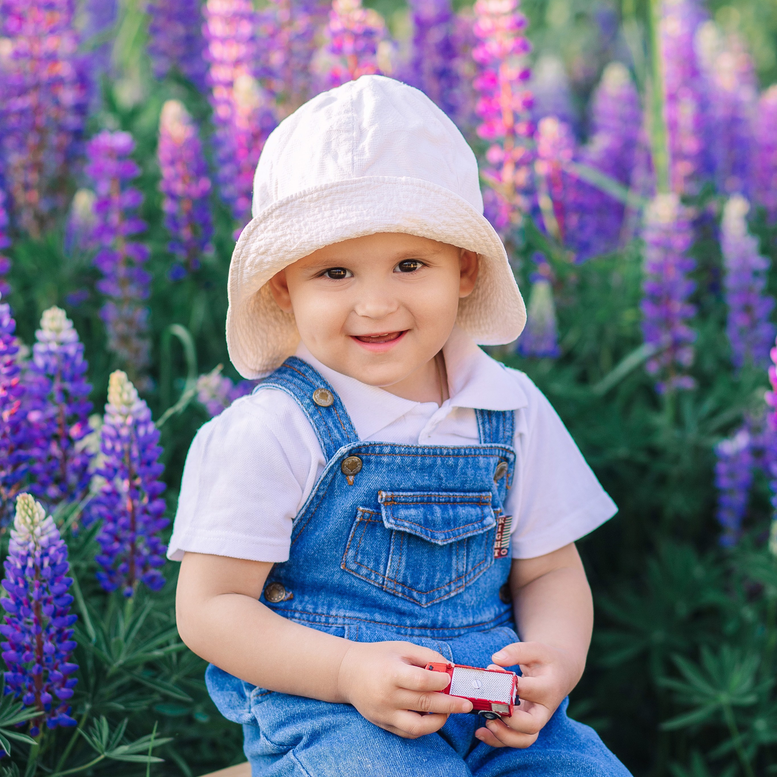 Фотодень с люпинами 2024