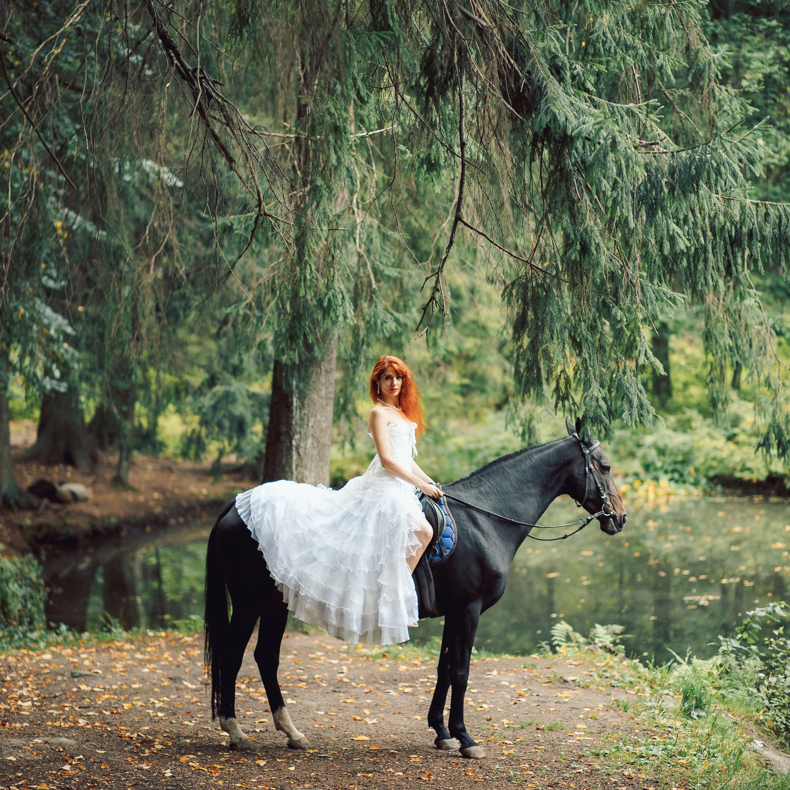 Конная прогулка в Шуваловском парке