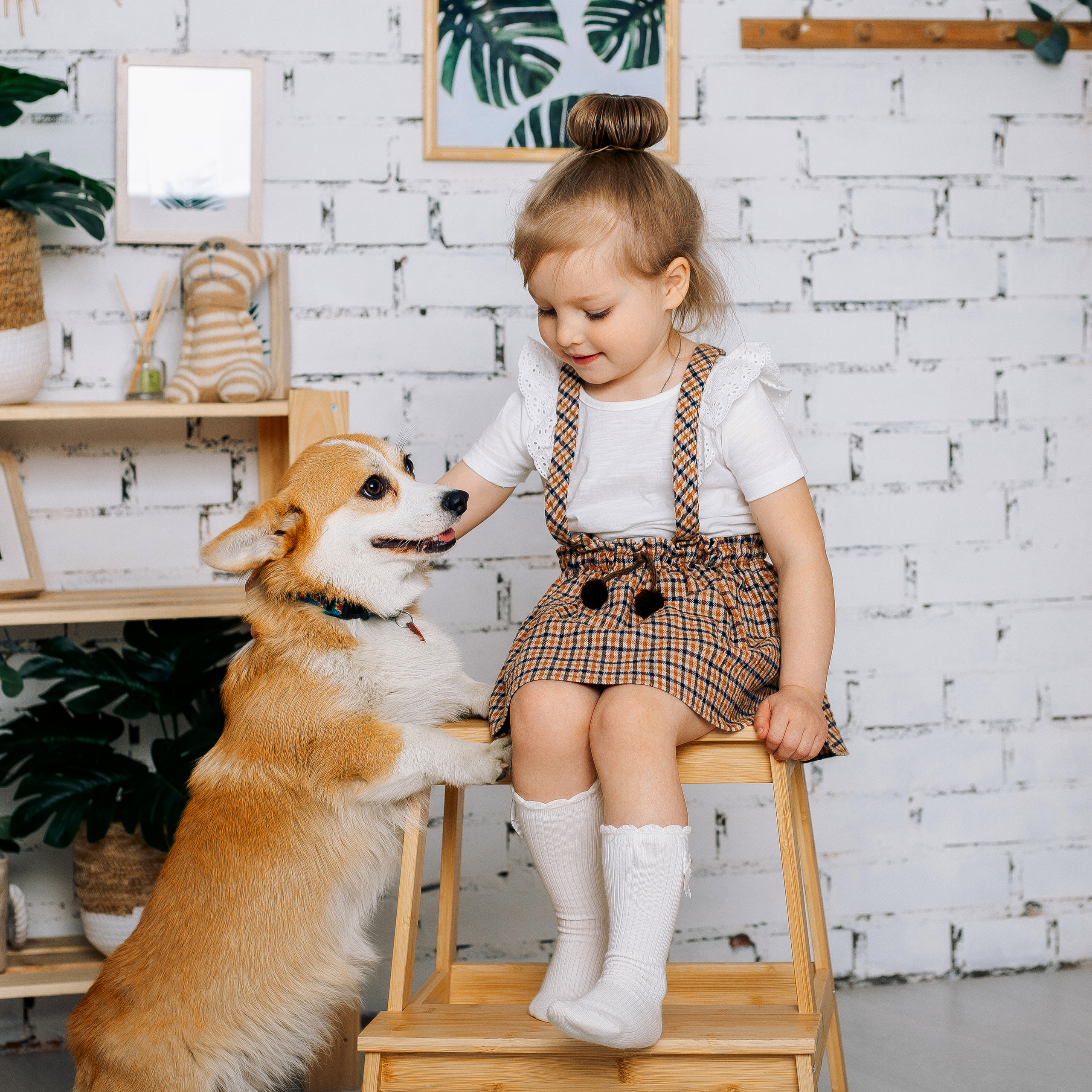 Фотосессия с корги