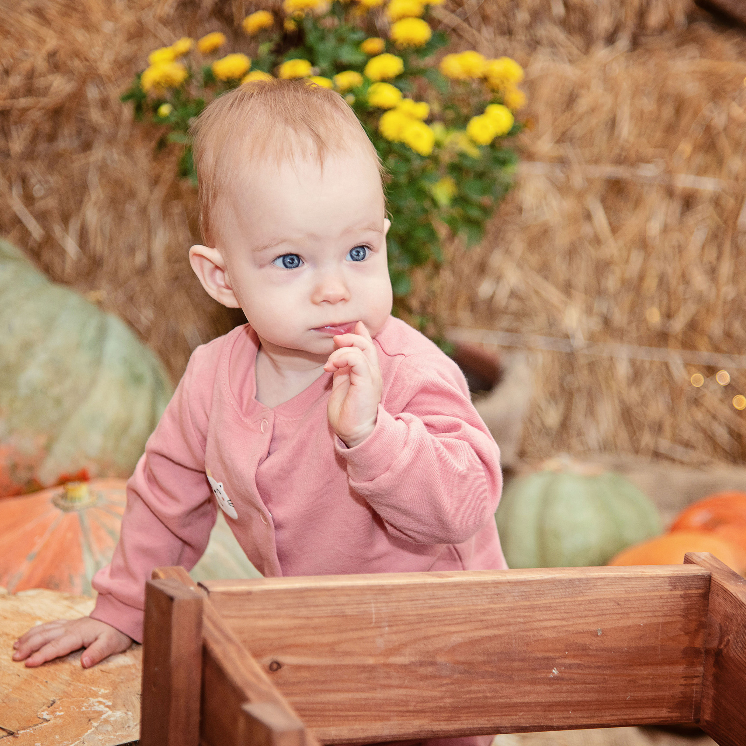 Отзывы, отзыв о фотографе Марине Алексеевой. Свадебный и семейный фотограф в Самаре Марина Алексеева